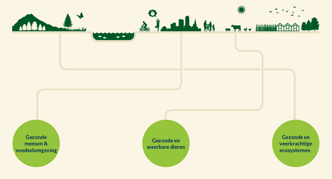 Visual waarin landschappen, water, steden, landbouw en natuur met elkaar verbonden zijn. Lijnen koppelen drie onderdelen: gezonde mensen en voedselomgeving, gezonde en weerbare dieren, en gezonde en veerkrachtige ecosystemen.