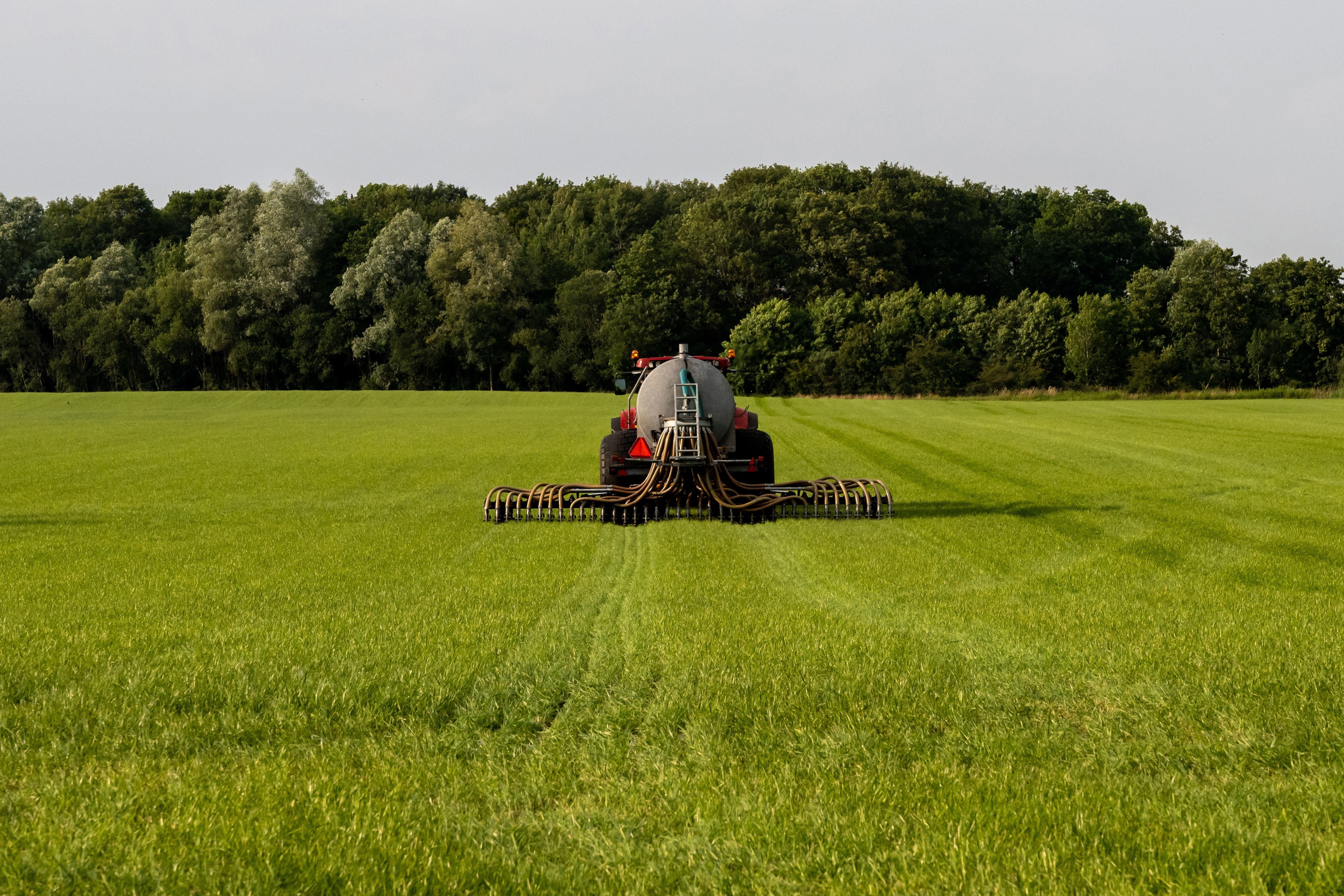 Injectie van vloeibare mest met een vloeibare mestverspreider in Nederland.