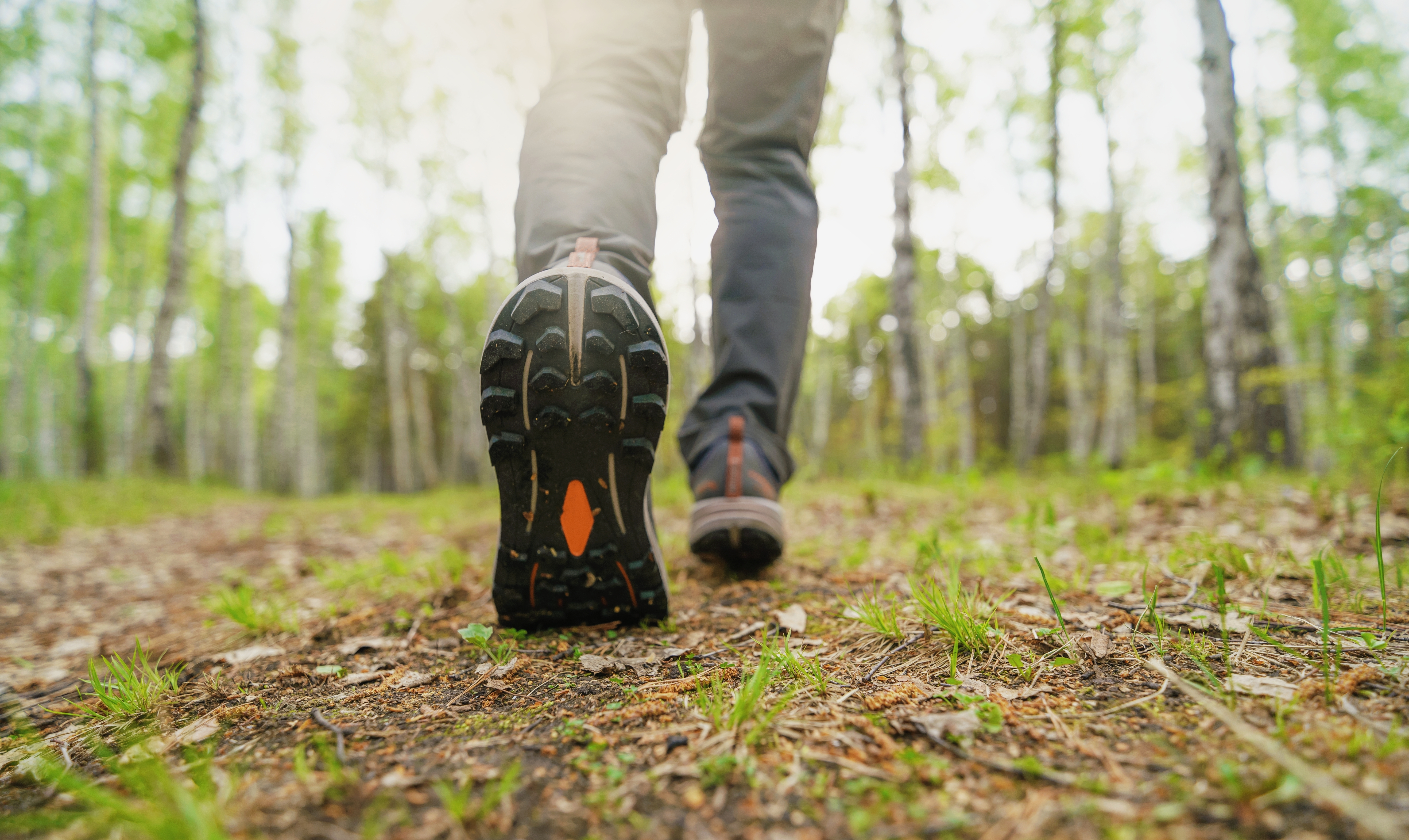 Man walking in forest.