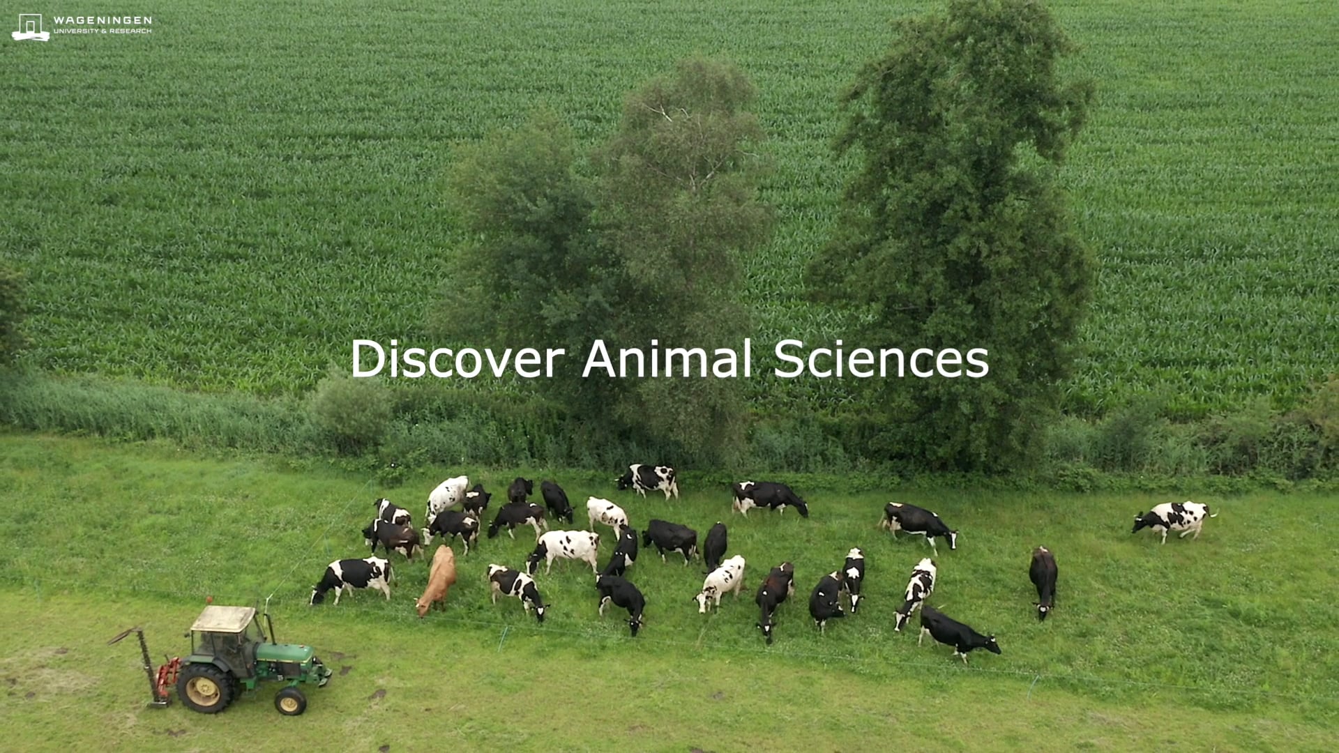 Discover Animal Sciences at Wageningen University & Research