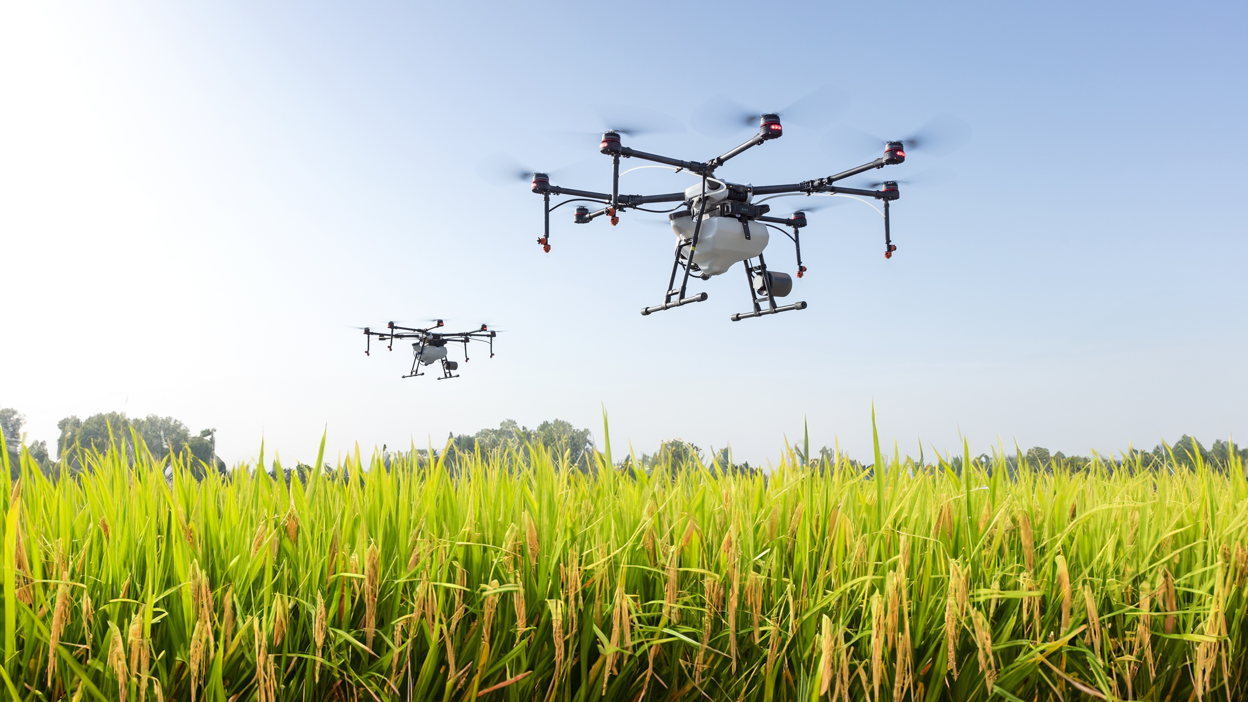 Globaliserende sectoren: precisielandbouw en agrarische veranderingen in mondiale productienetwerken. Het geval van Cederberg Valley, Zuid-Afrika