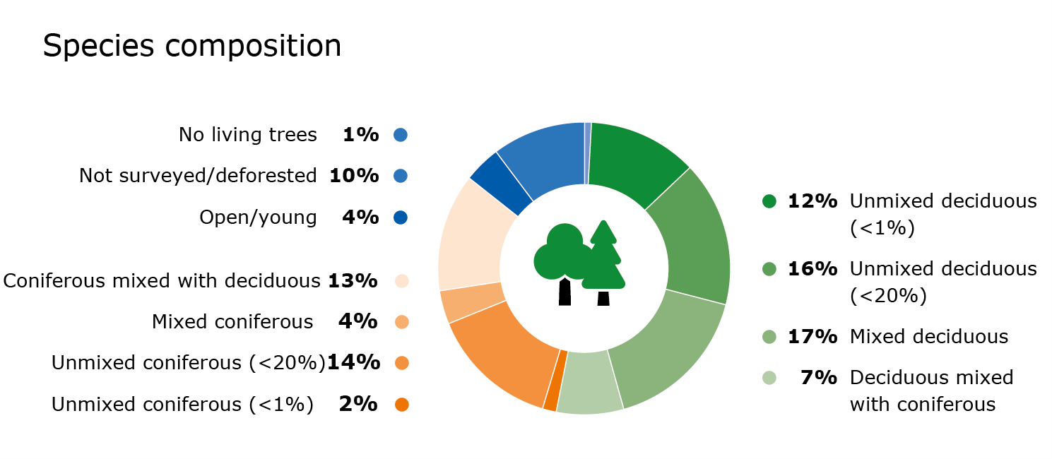 Composition of species in forests