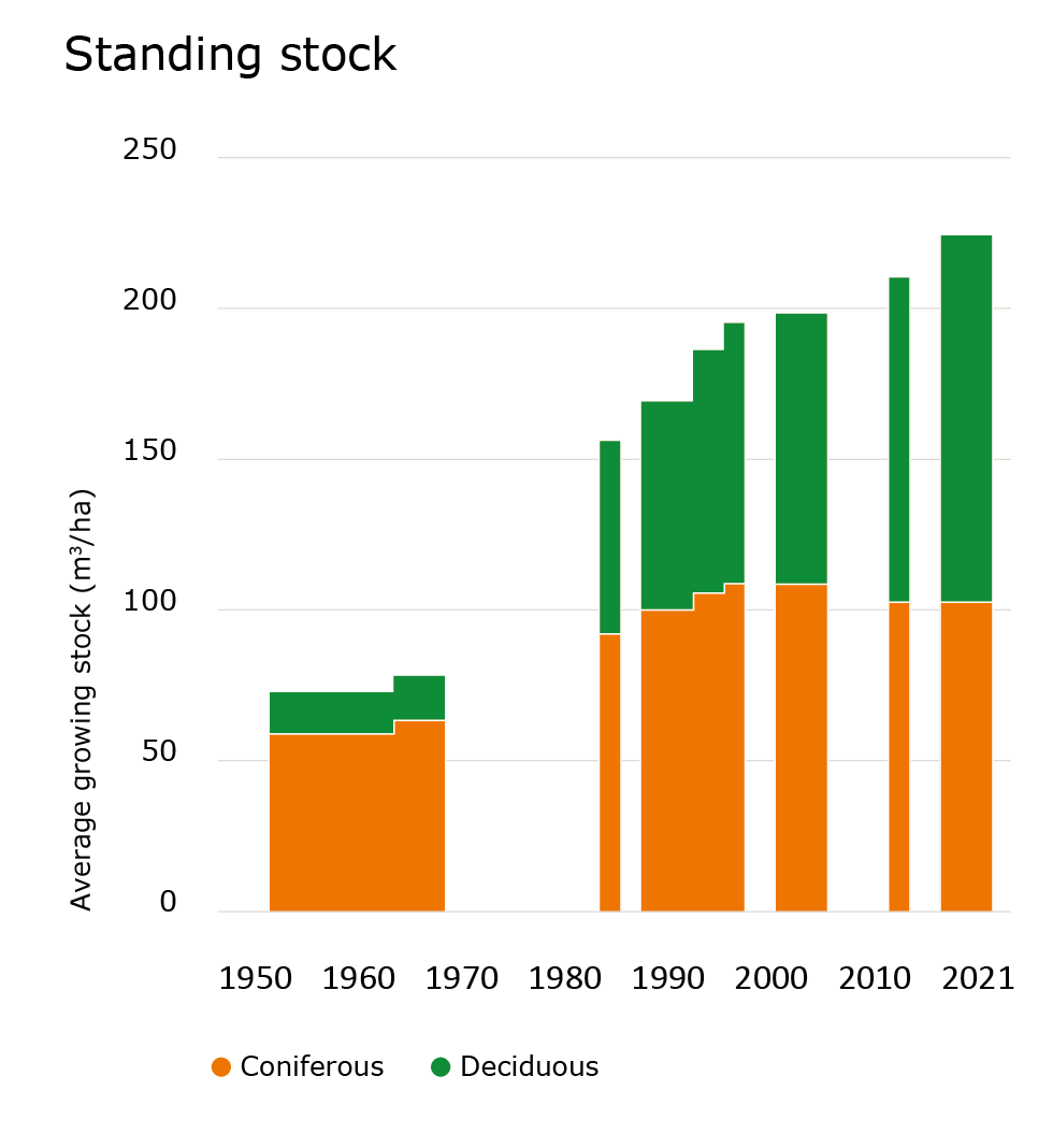 Standing stock of wood
