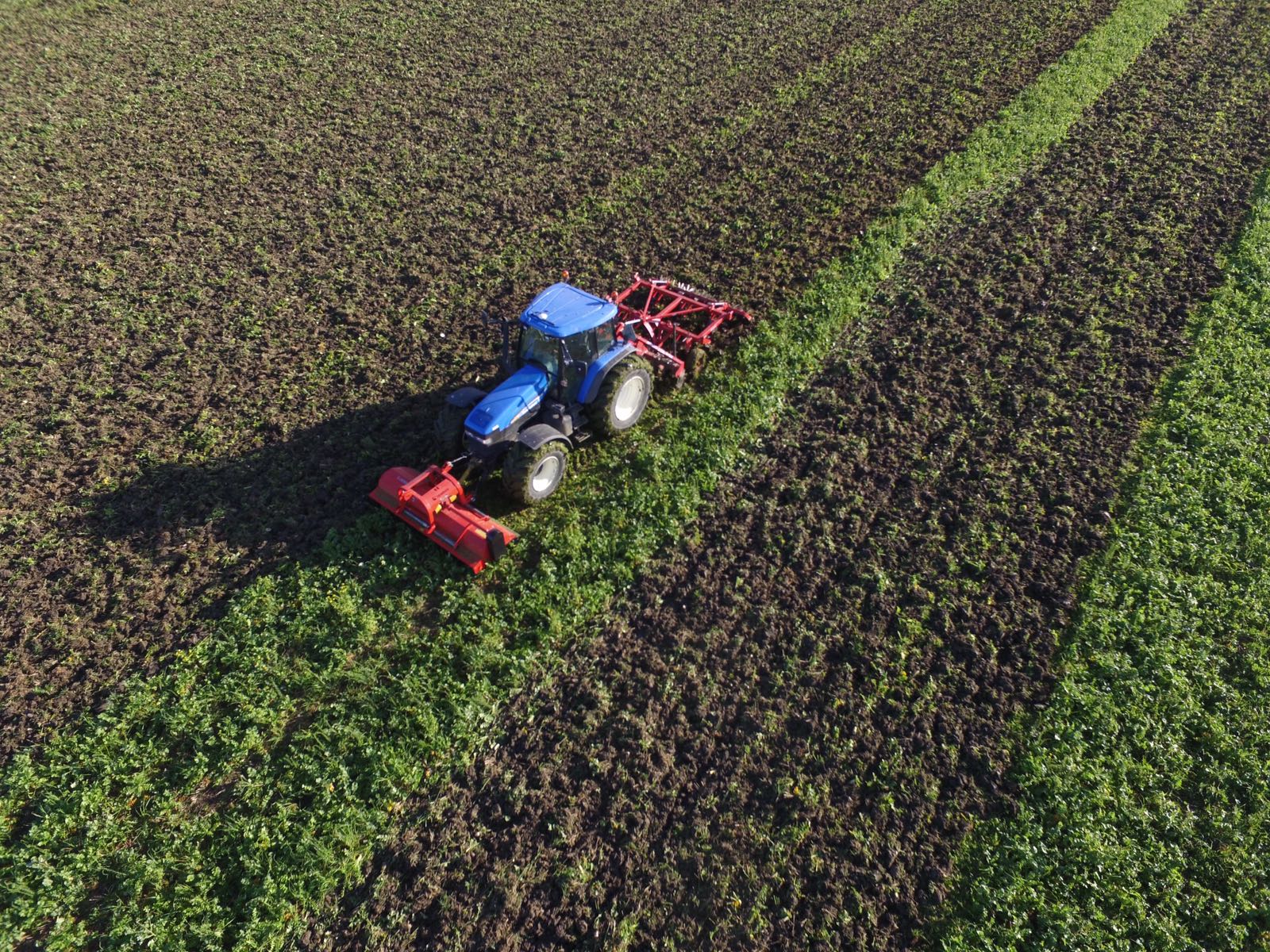 Boeren met levende bodem