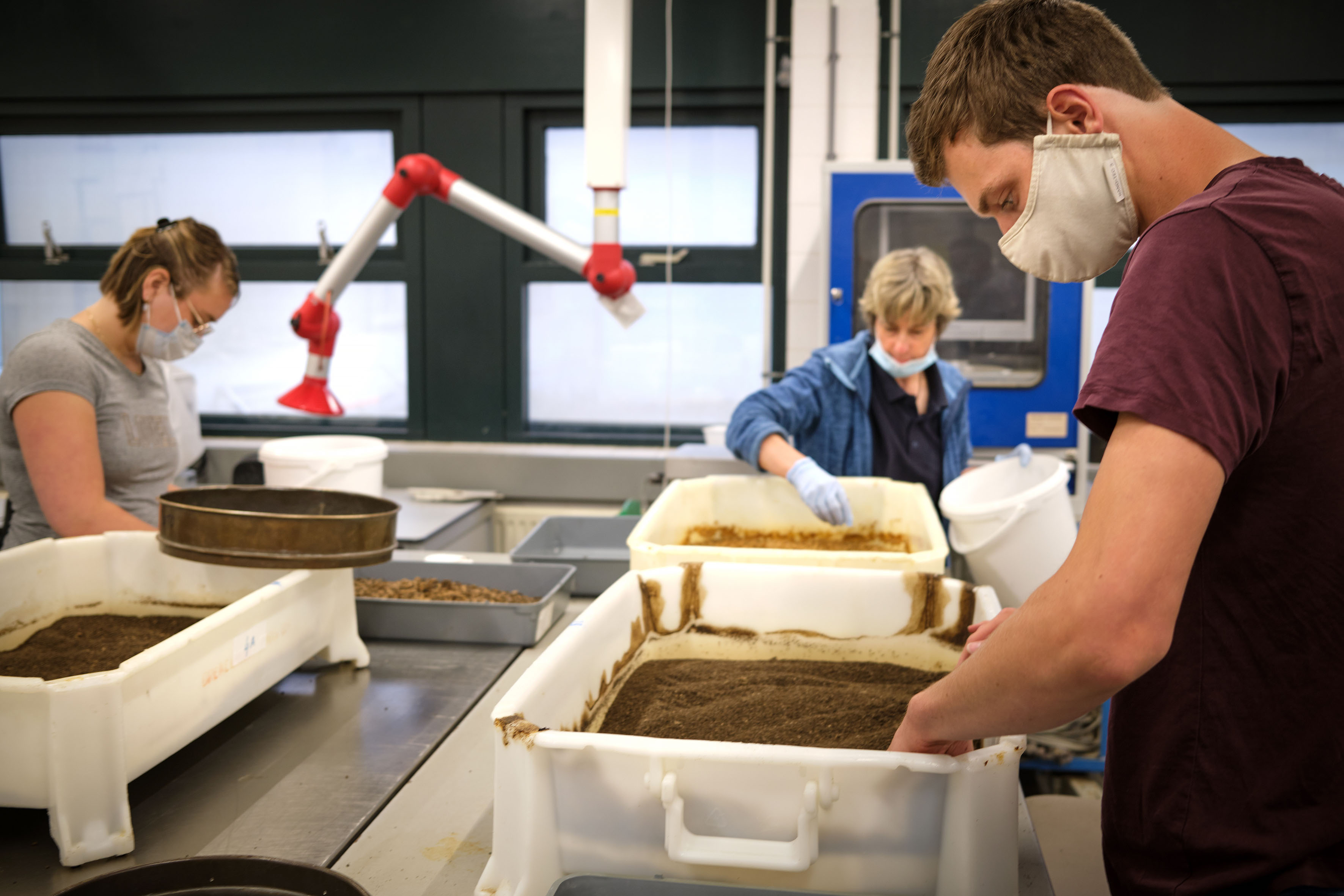 Cultivation of insects at ACRRES in Lelystad