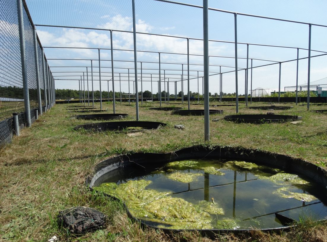 Mesocosms op het terrein van Sinderhoeve