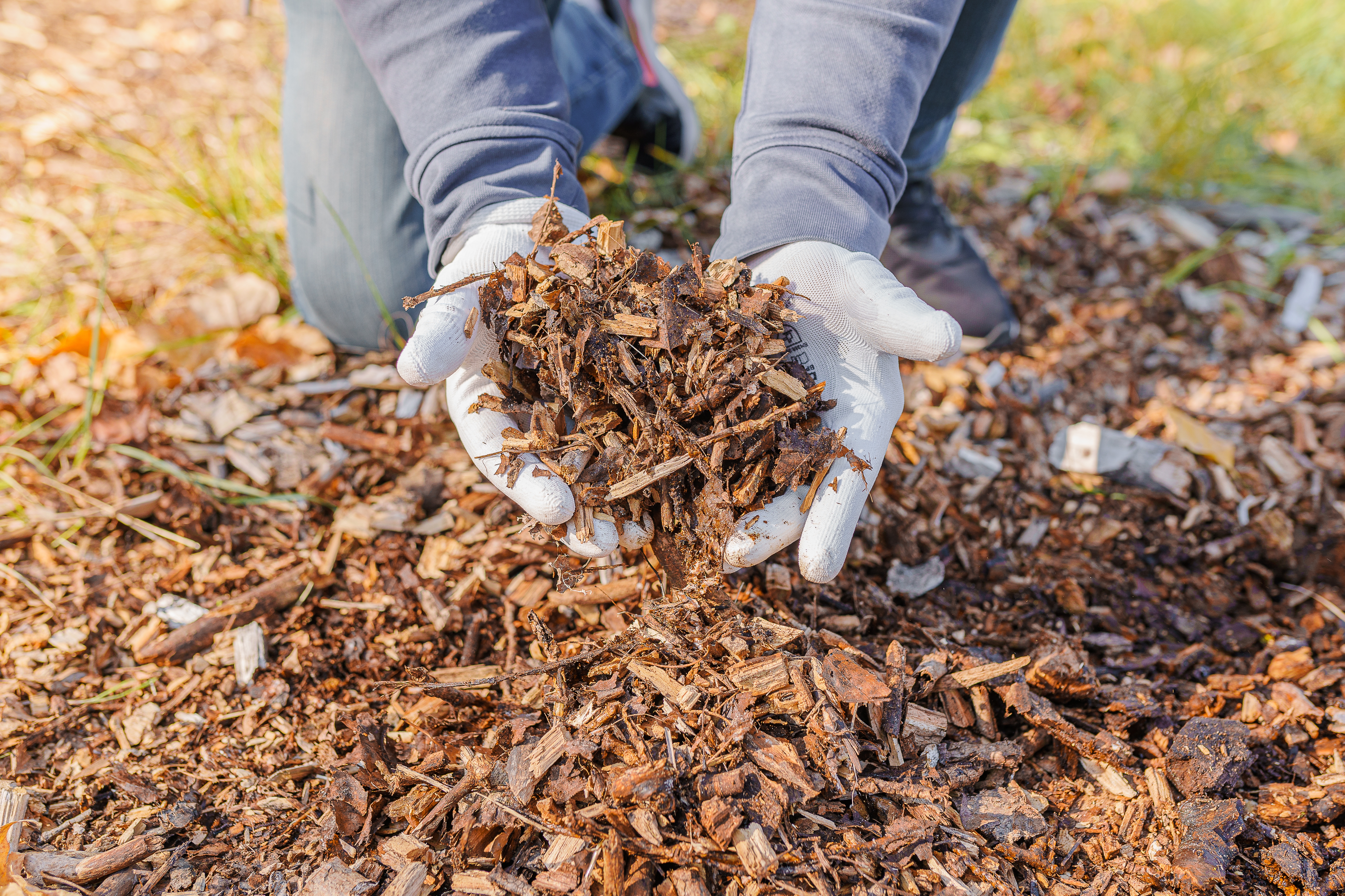Microbial wood degradation in a composting environment: influencing factors and improvement strategies
