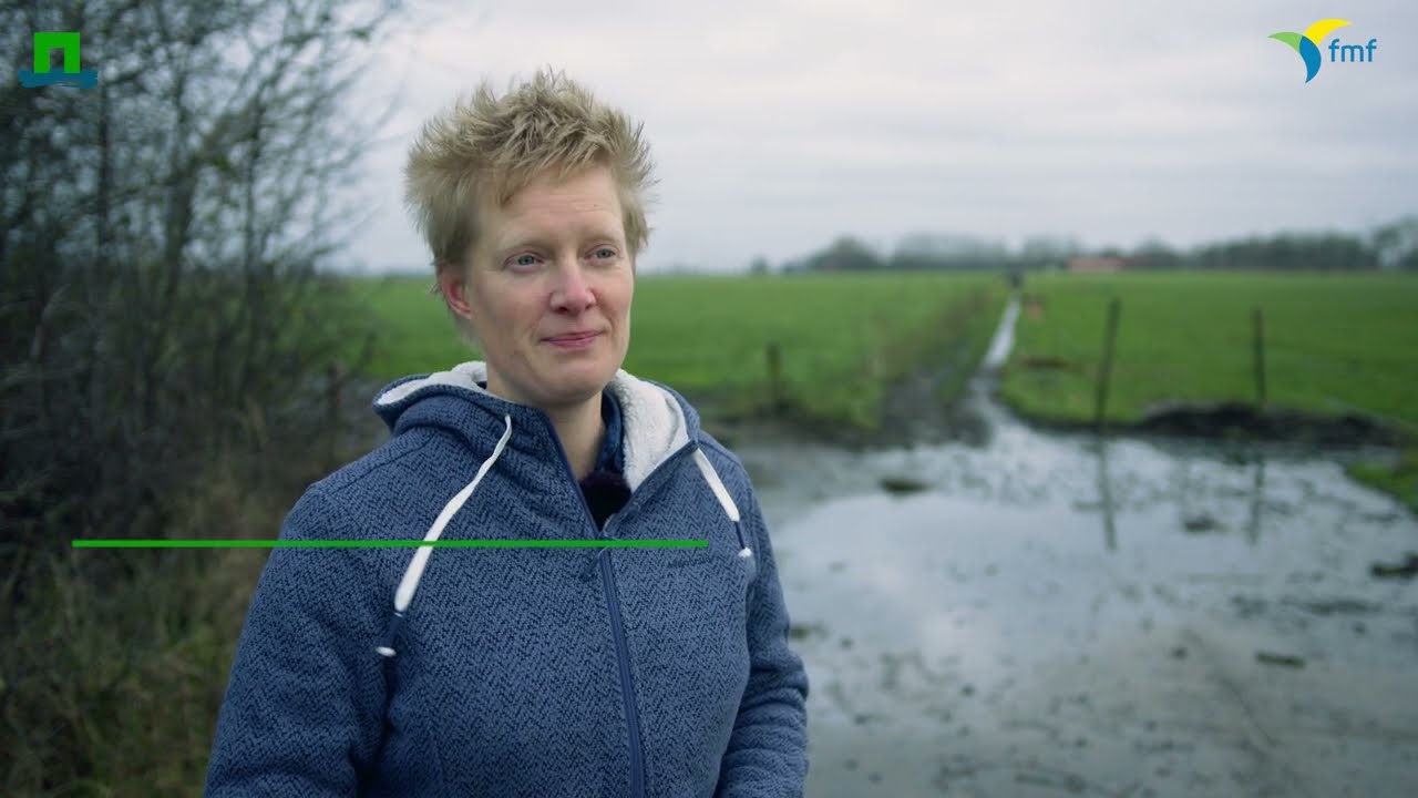 Agroforestry Bedum Groningen