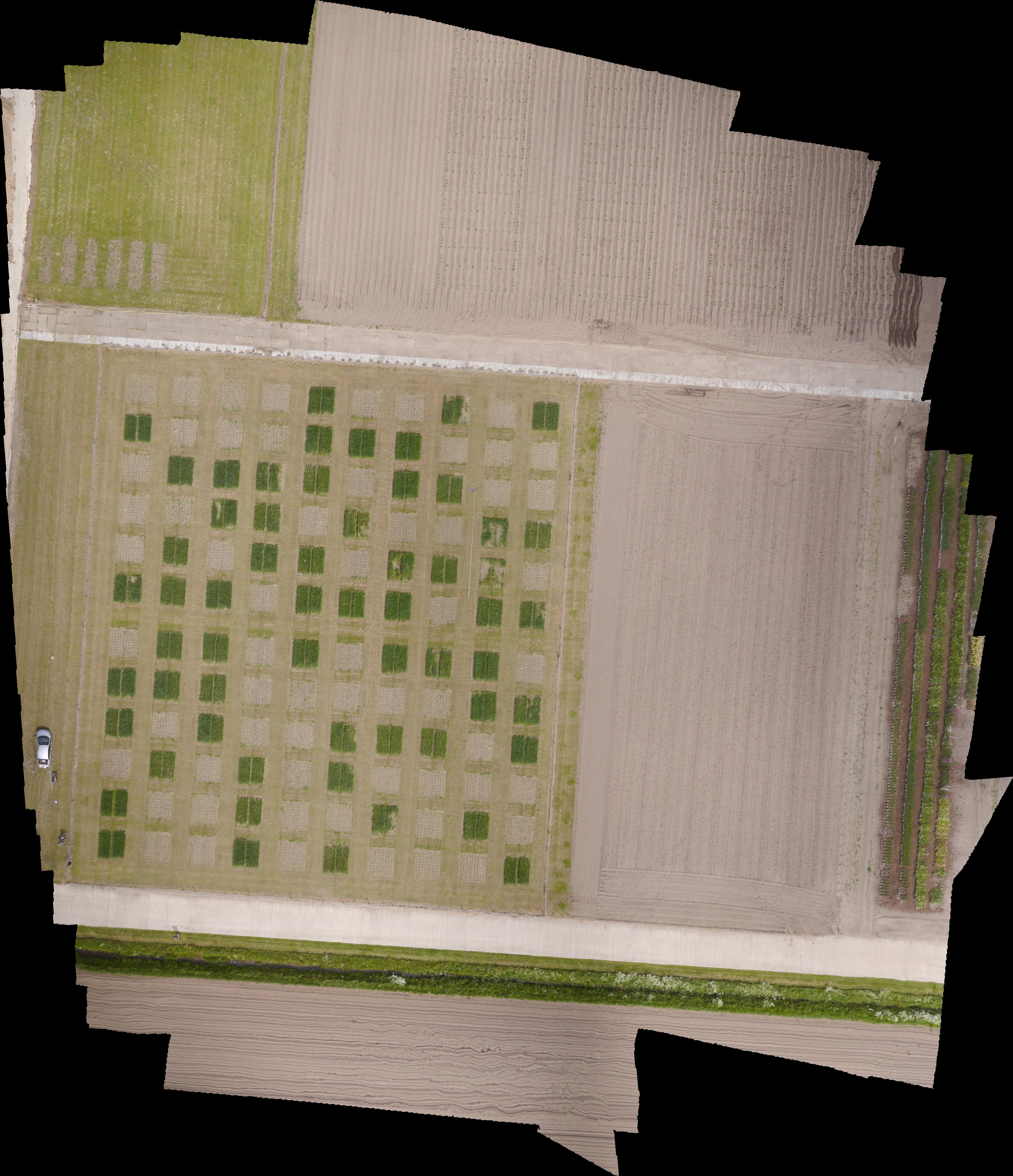 Checkerboard of experimental plots