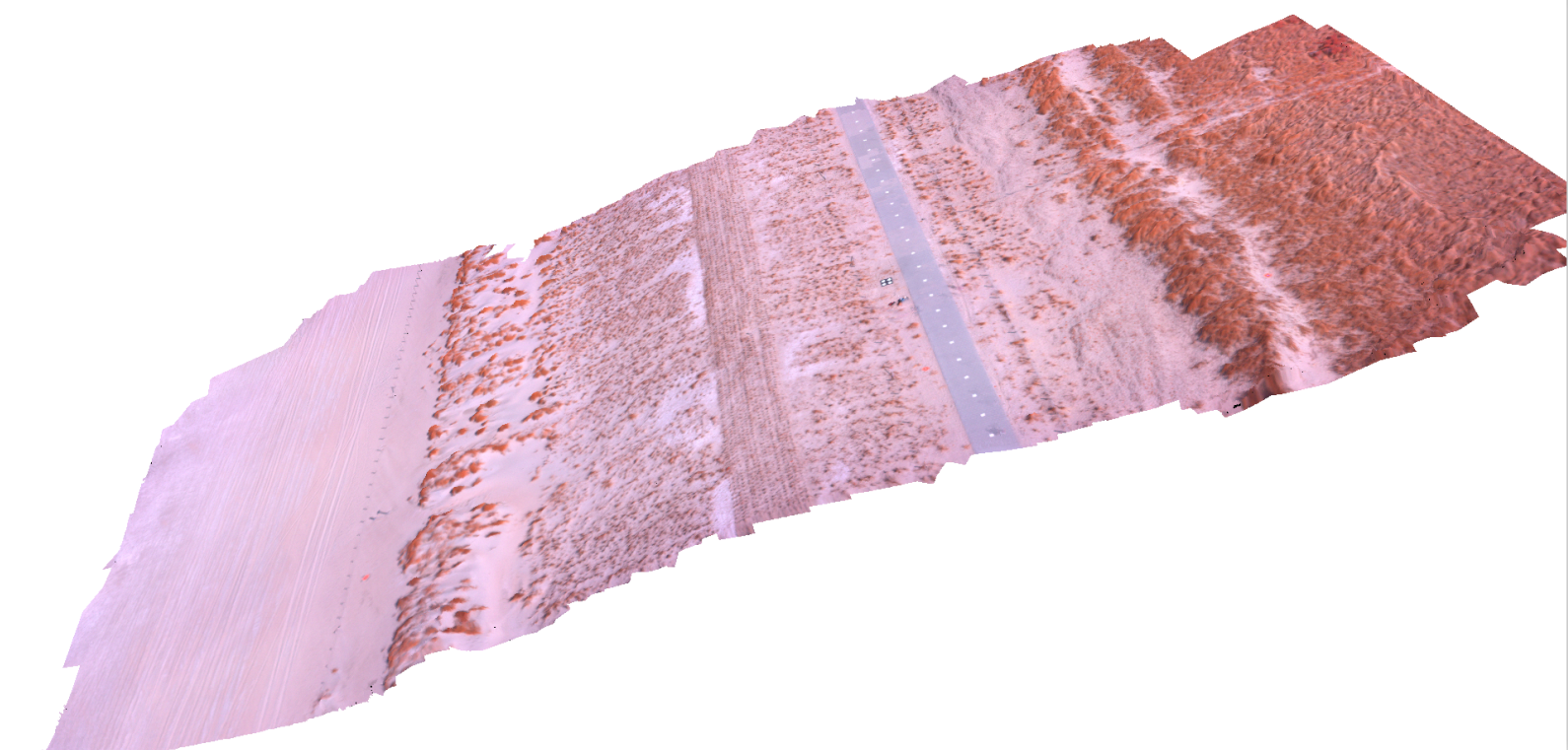 Dune development on the Sand Motor: false-color image overlaying 3-D surface model.