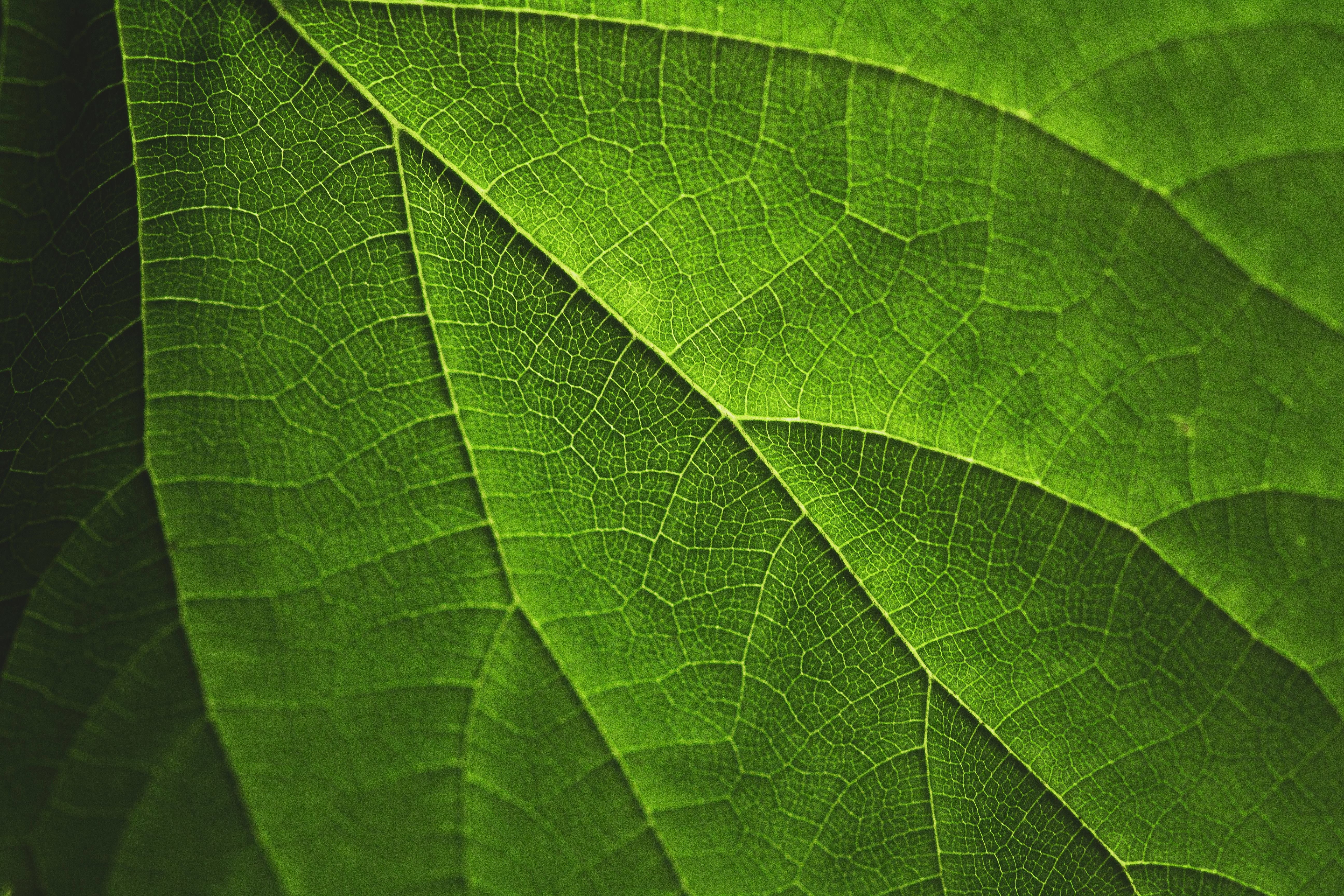 Designing success: from the start towards more successful climate services for adaptation