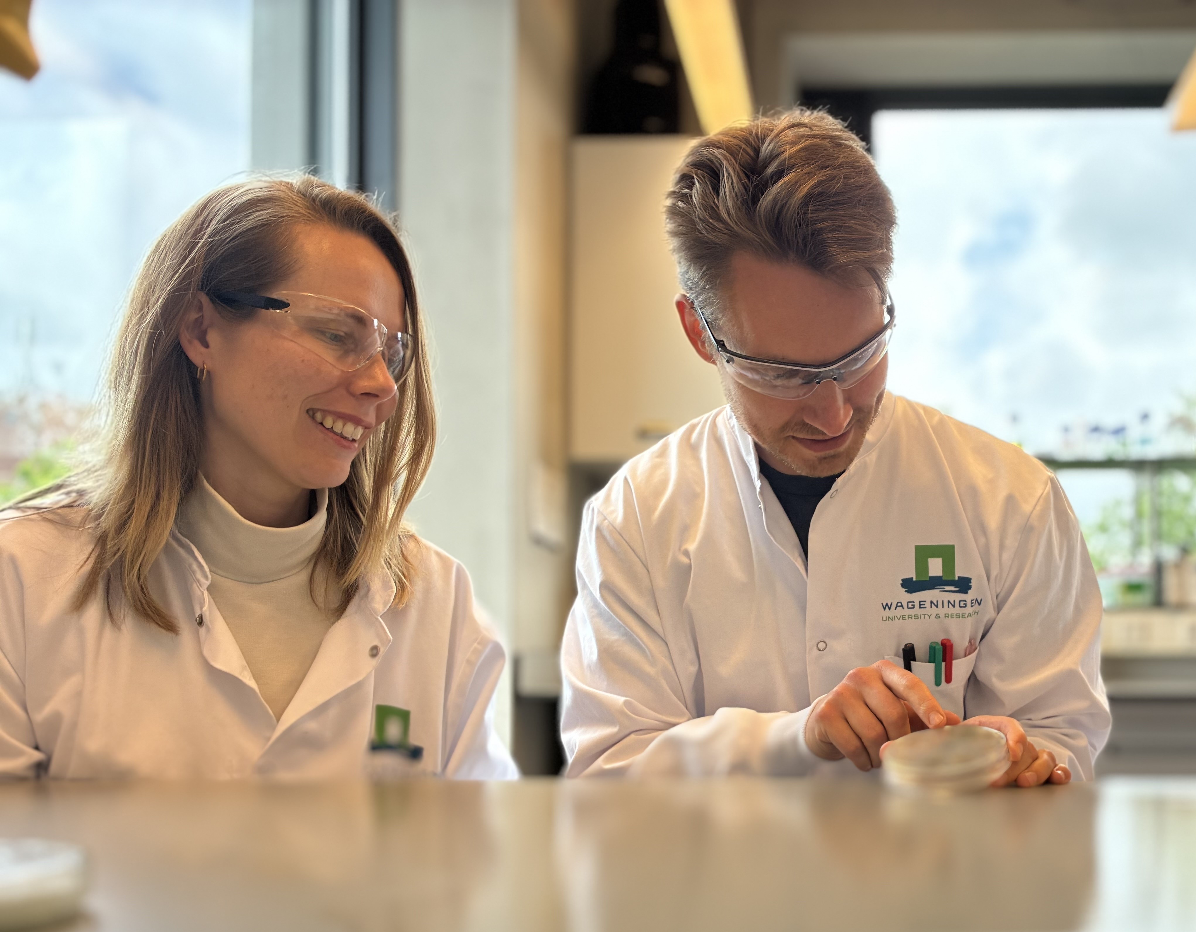 Two researchers are looking at a petri dish
