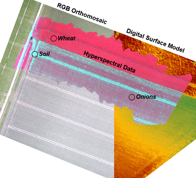Precision agriculture mapping