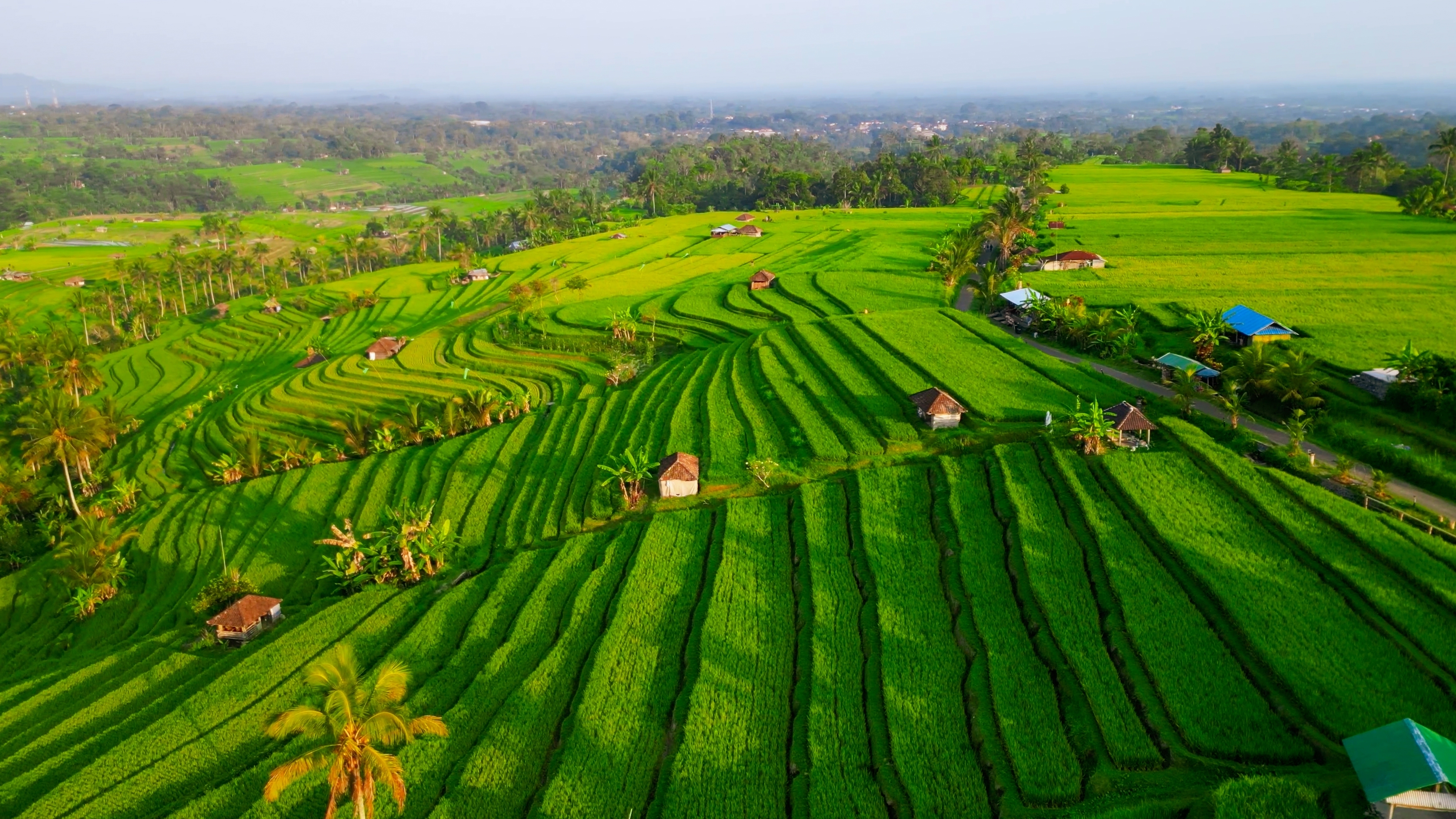 Multifunctional and Stakeholder-Informed Agricultural Landscape Redesign in the North China Plain