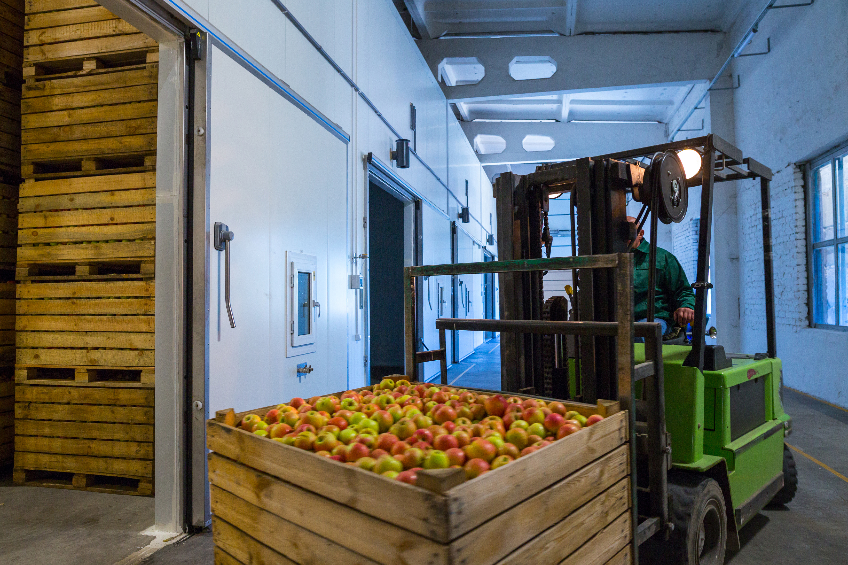 Cold Storage
