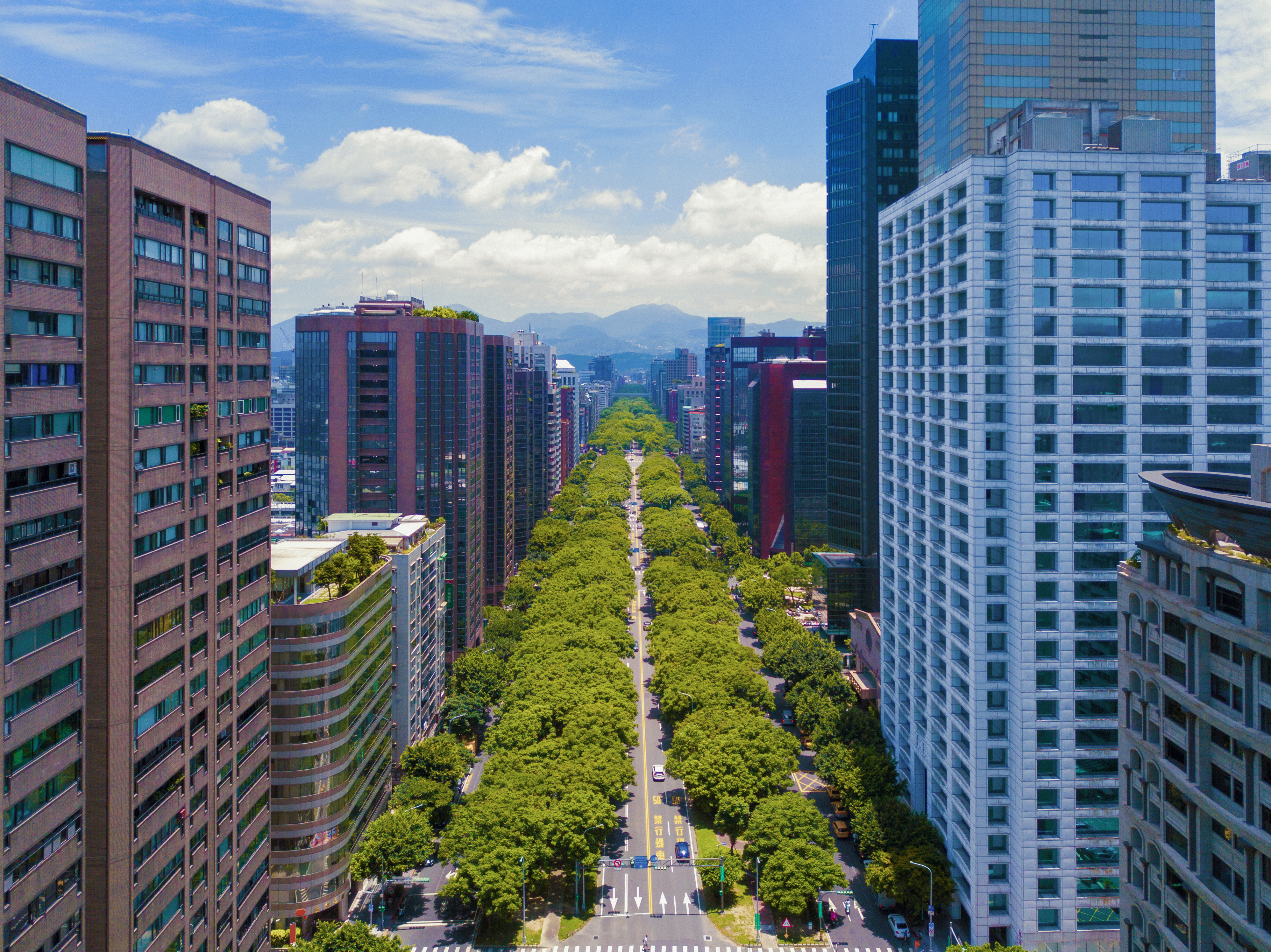 Groen in stad met skyscrapers