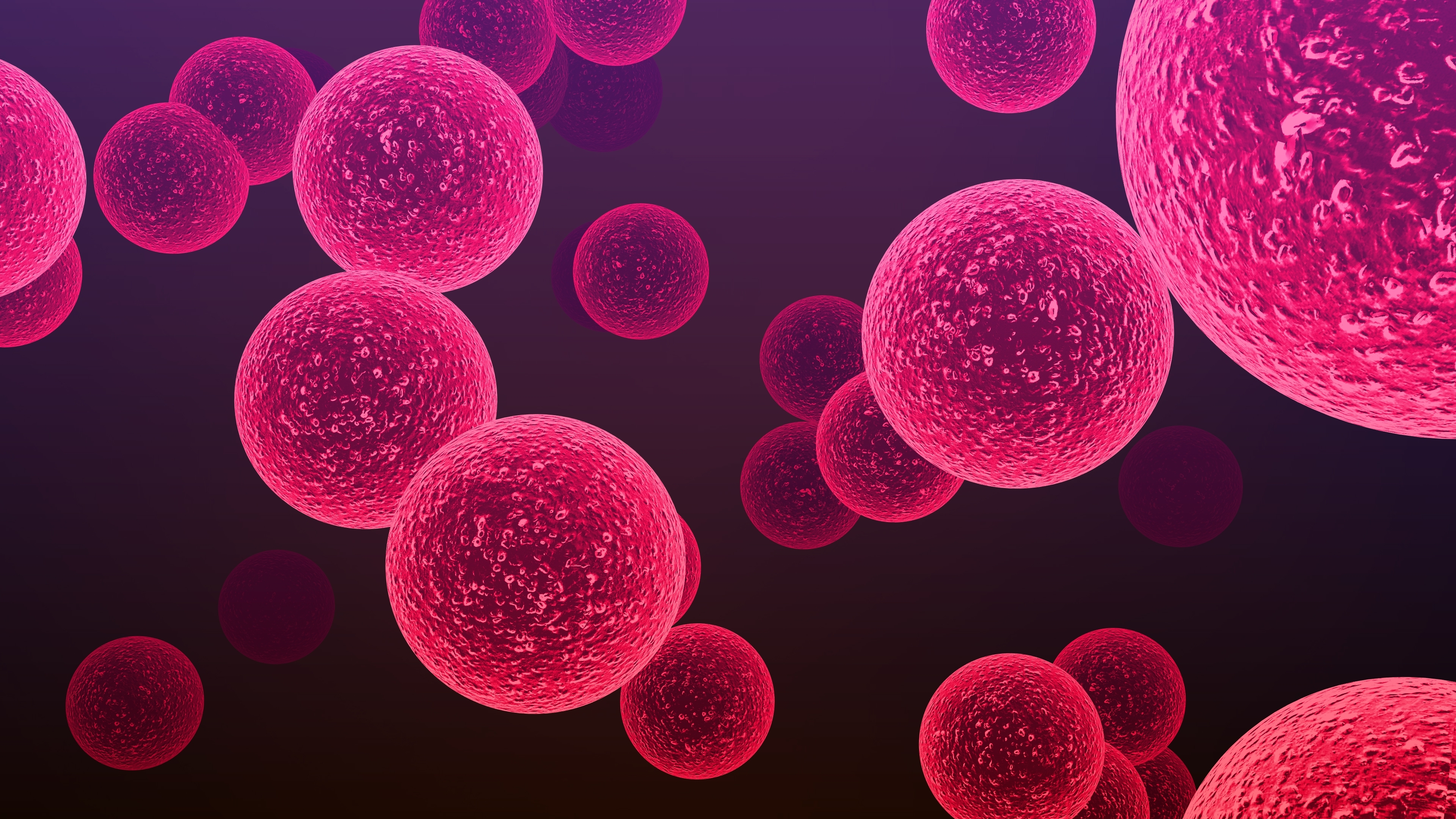 Op zoek naar de Achilles’ hiel van Streptococcus suis. De onderliggende moleculaire mechanismes voor aanpassing aan de gastheer. 