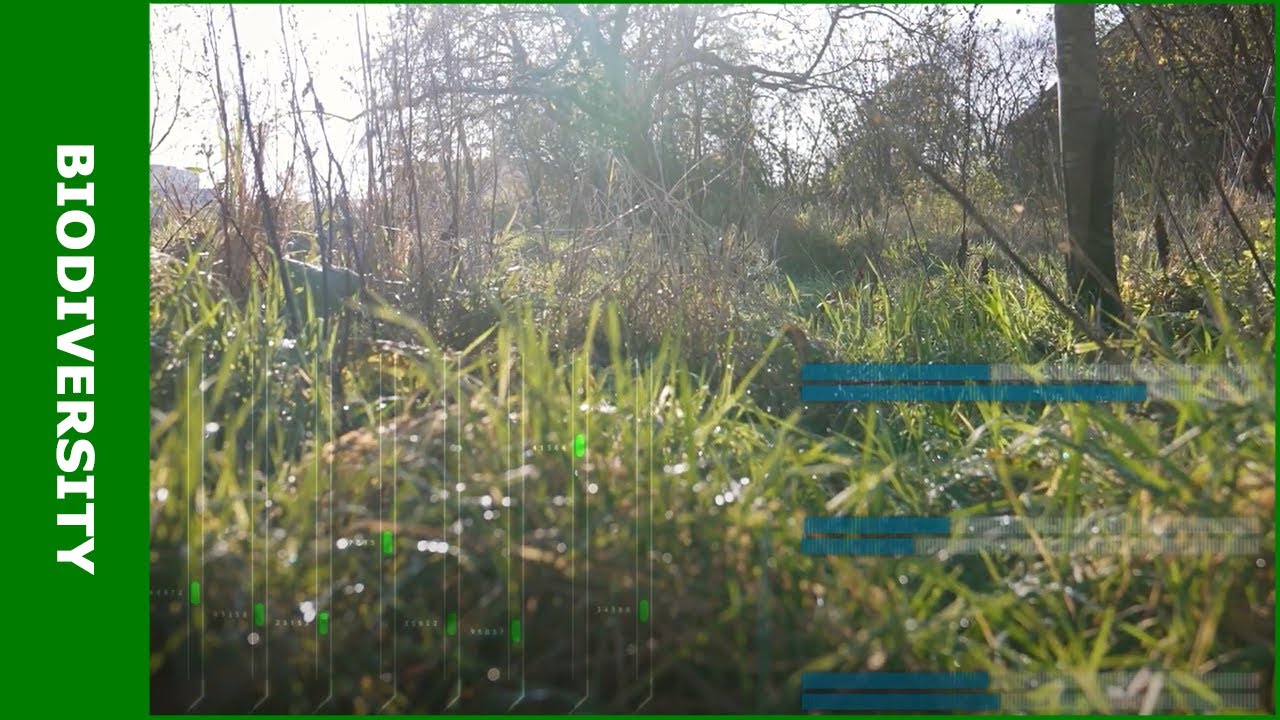 Met nieuwe technieken biodiversiteit monitoren - KennisOnline 2023