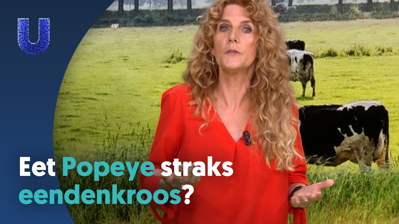 Eten we straks allemaal eendenkroos?
