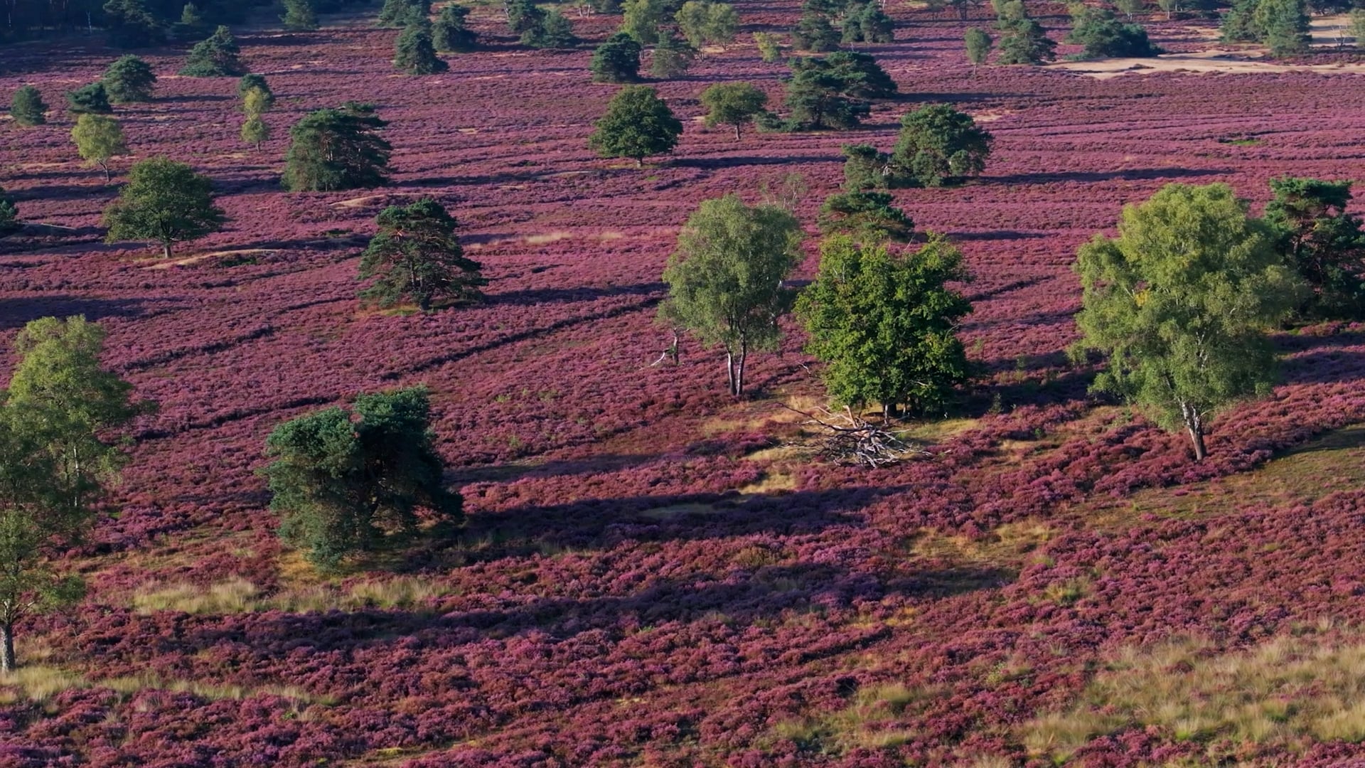 Nature-positive-and-climate-proof-economies
