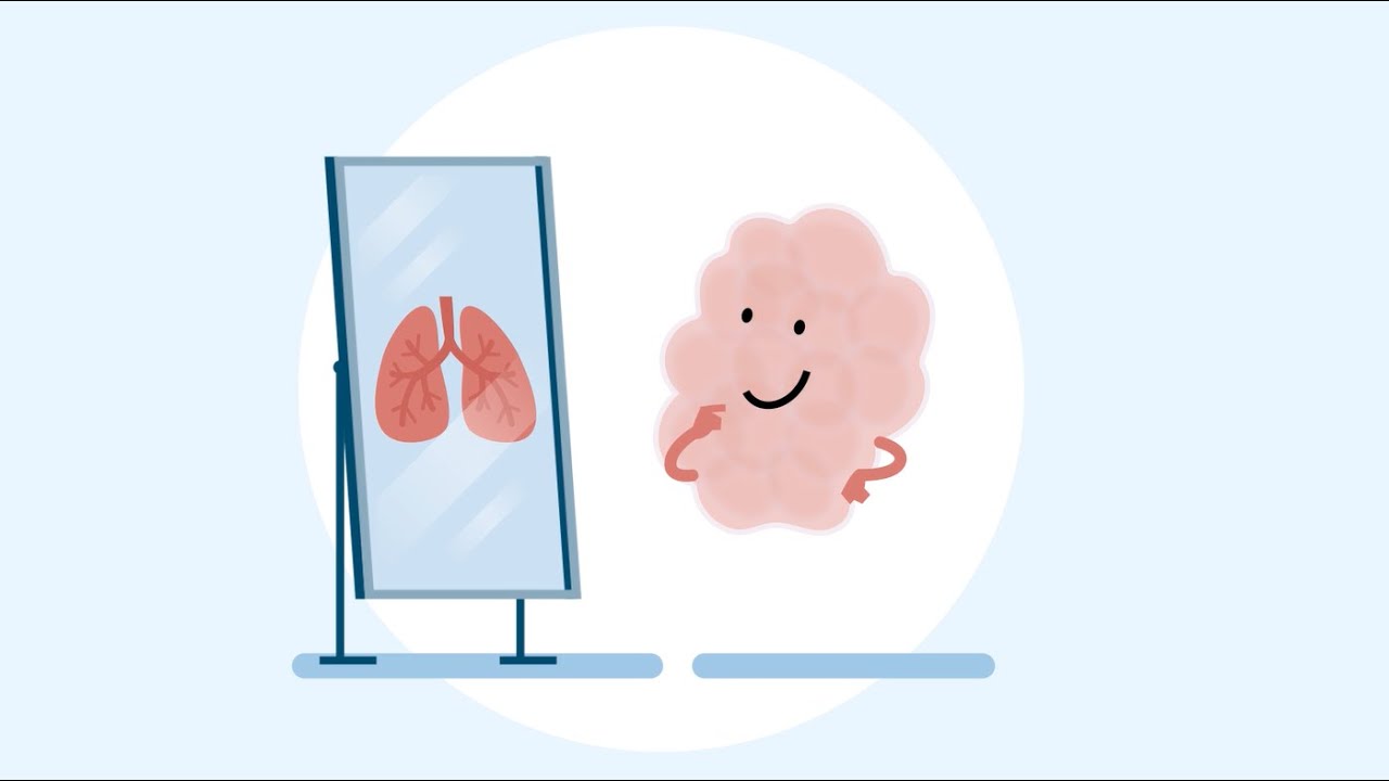 Organoids: what are they? And how do we use them in animal research?
