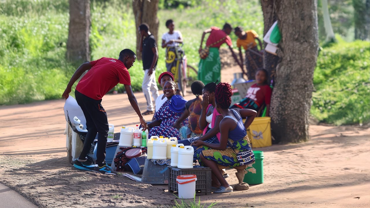 Het succes van Mabisi in Zambia