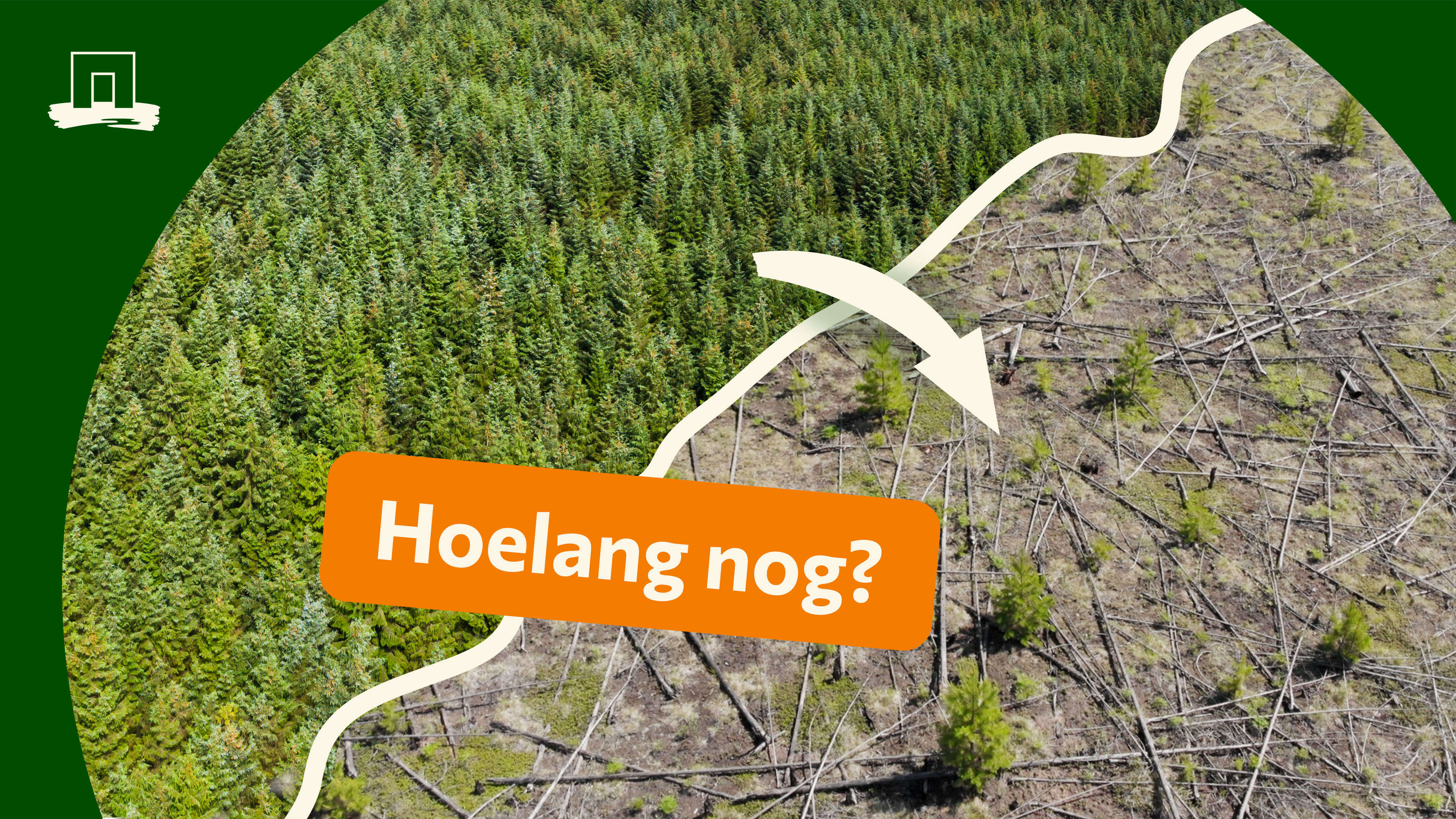 Nederlandse bossen dreigen te verdwijnen - SUPERB