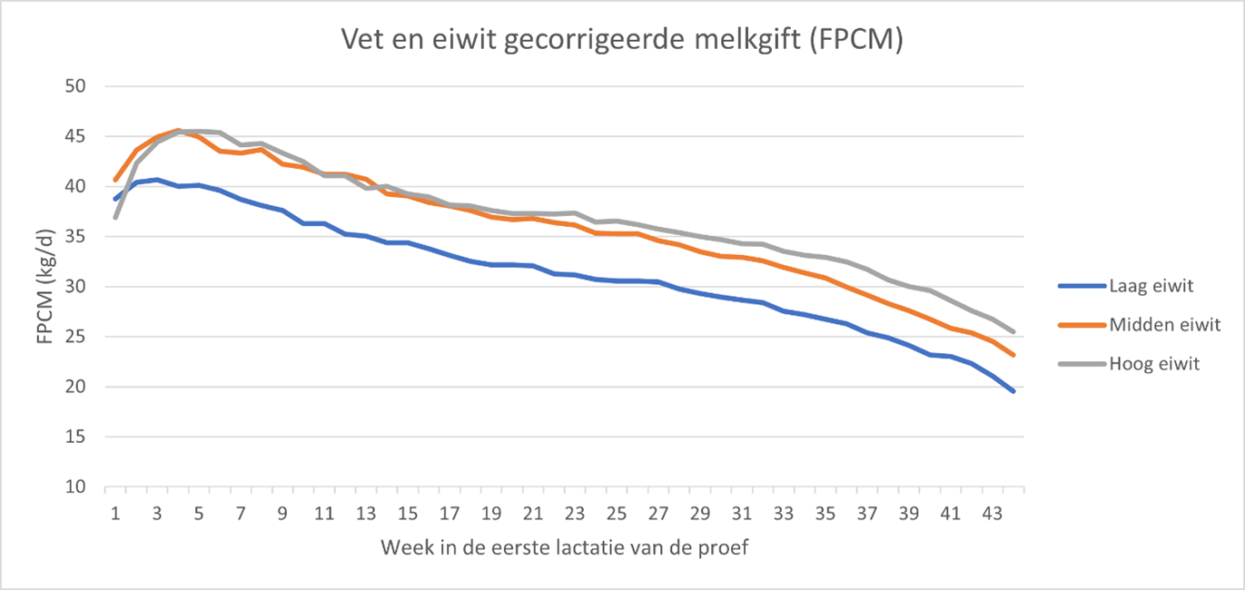 Figuur 2: Vet en eiwit gecorrigeerde melkgift (FPCM) van koeien met verschillende eiwitgehaltes in het rantsoen (Laag: 13.3%; Midden 14.3%; Hoog: 15.4%) tijdens de eerste lactatie (44 weken) van de proef.