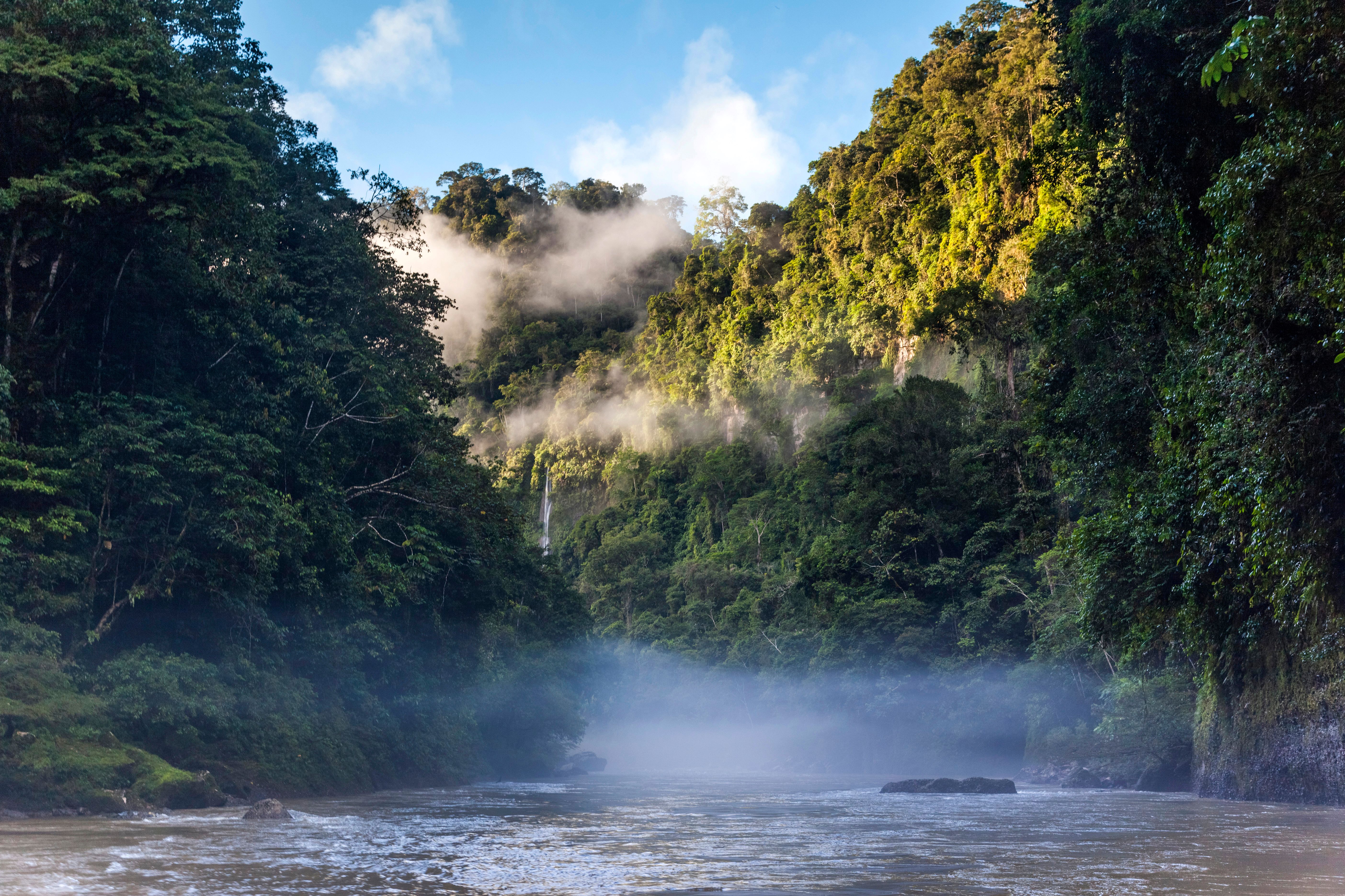 Community Conservation and Forest Management in the Peruvian Amazon