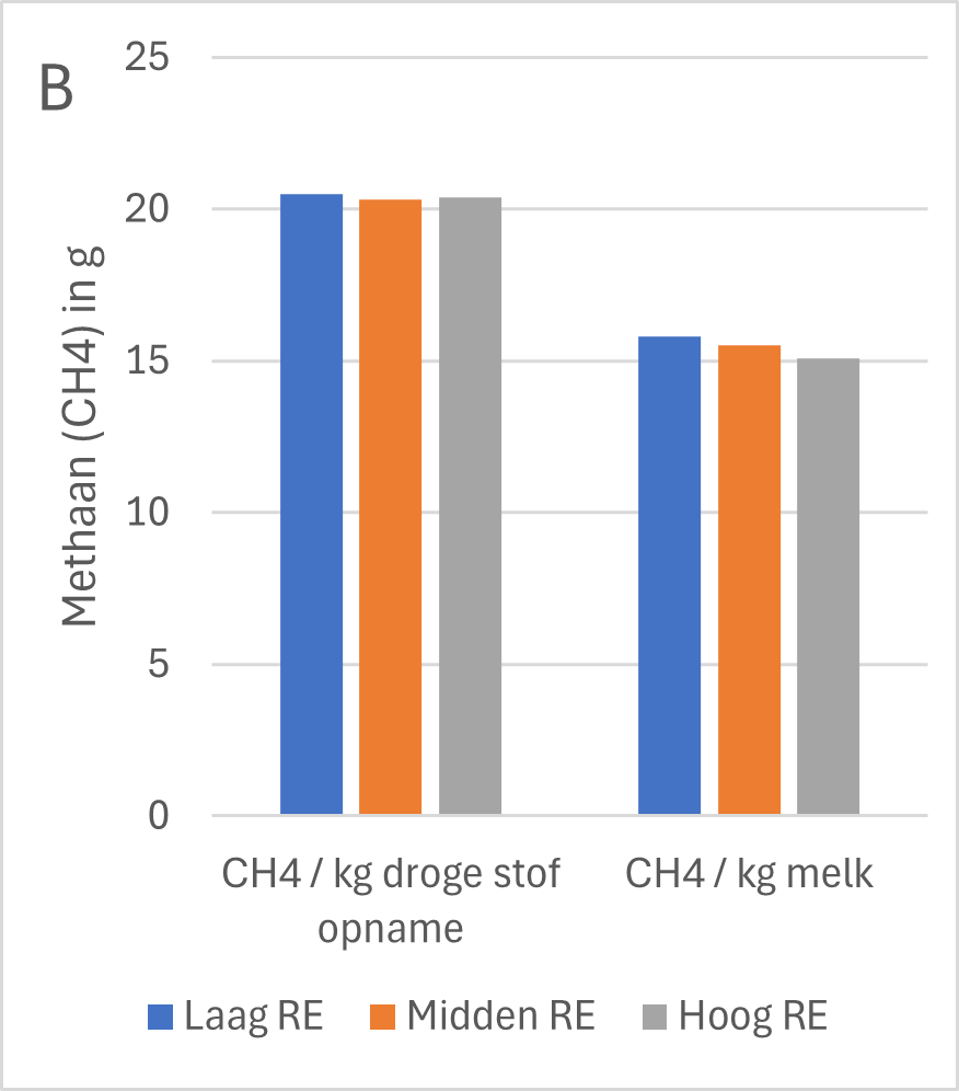 Methane (CH₄) production in total (A) and relative to milk production and feed intake (B) of dairy cows fed rations with different protein levels of 133 (Low CP), 143 (Medium CP) and 154 (High CP) g CP per kg dry matter.
