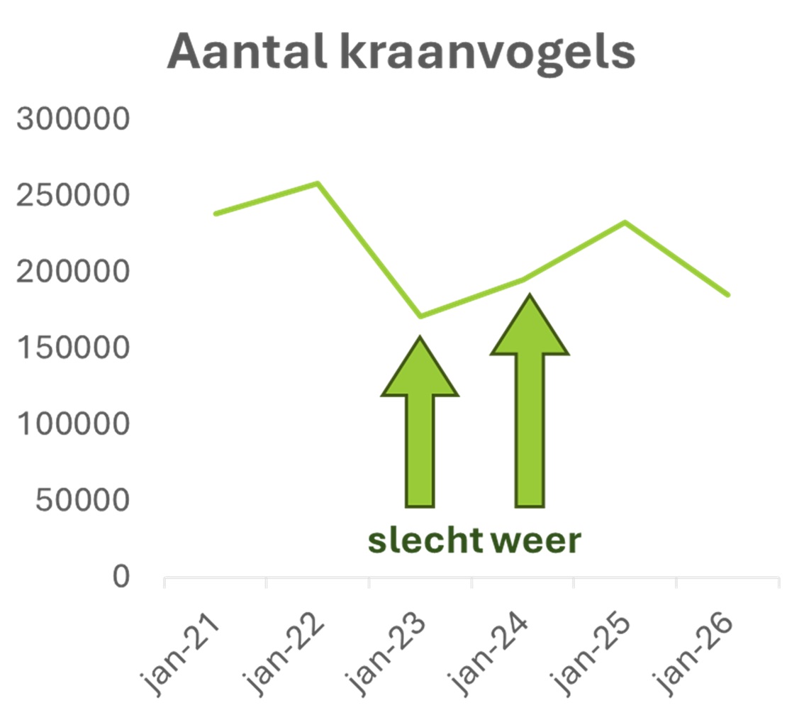 Resultaten van de Spaanse tellingen van de afgelopen jaren. De jaren 2023 en 2024 geven een vertekend beeld, omdat er toen slecht zicht was tijdens de tellingen. Dit jaar zijn de tellingen wel met goed weer uitgevoerd. Dat kan de daling in 2026 dus niet verklaren.