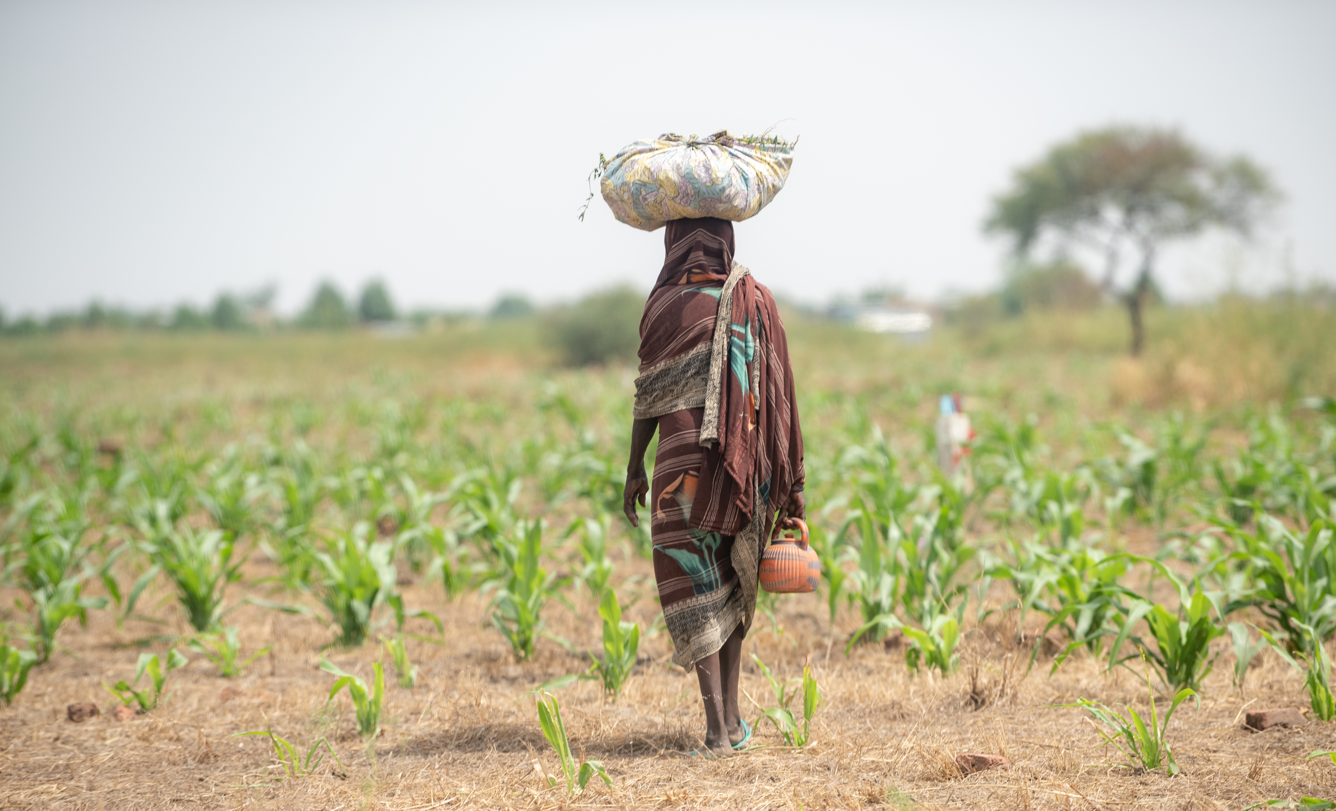 Agro-ecologische praktijken ter verbetering van de weerbaarheid van kleine boeren tegen klimaatschommelingen: inzichten uit de Noord-Soedanese agro-ecologische zone van Burkina Faso