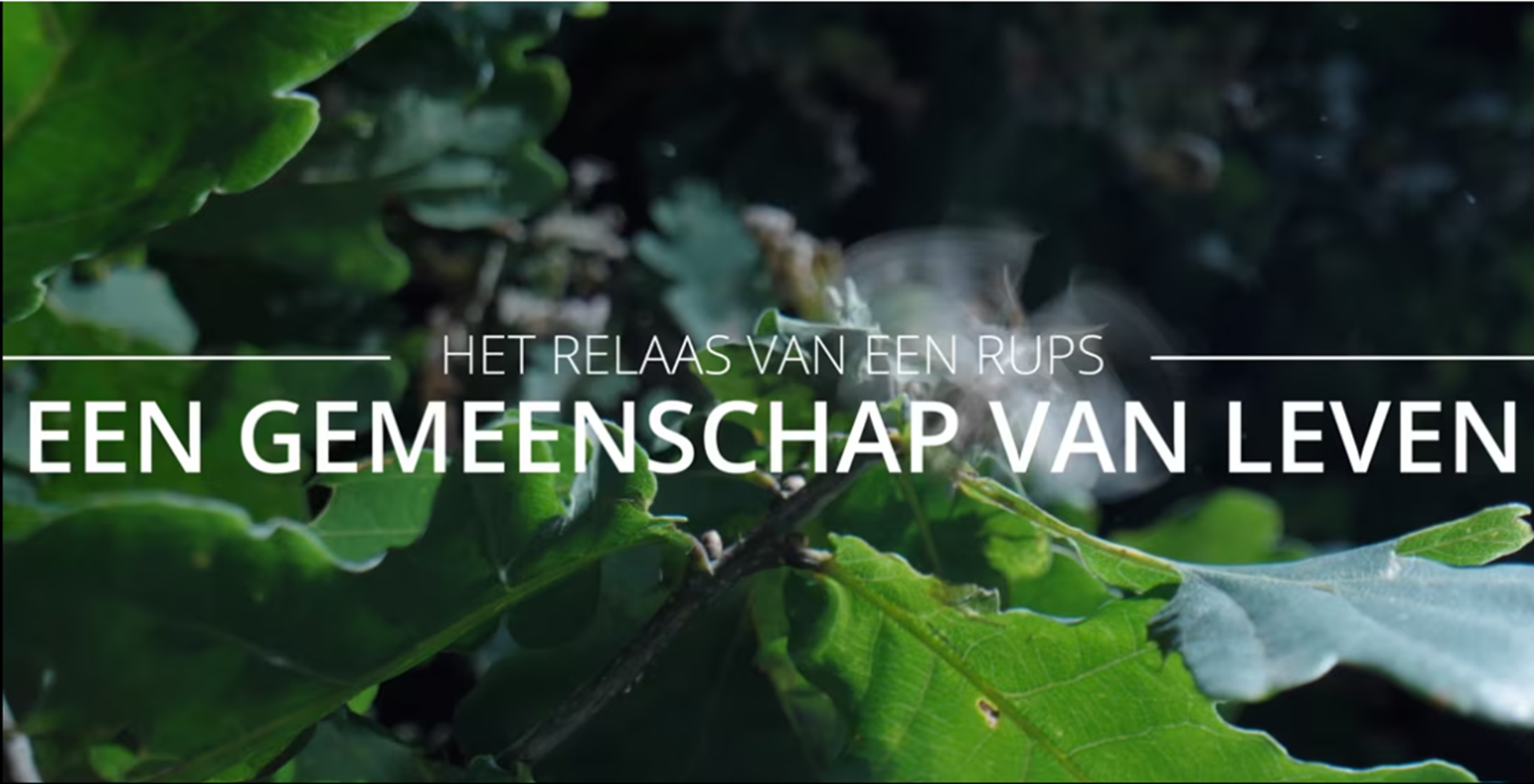 Een Gemeenschap van Leven | Trailer