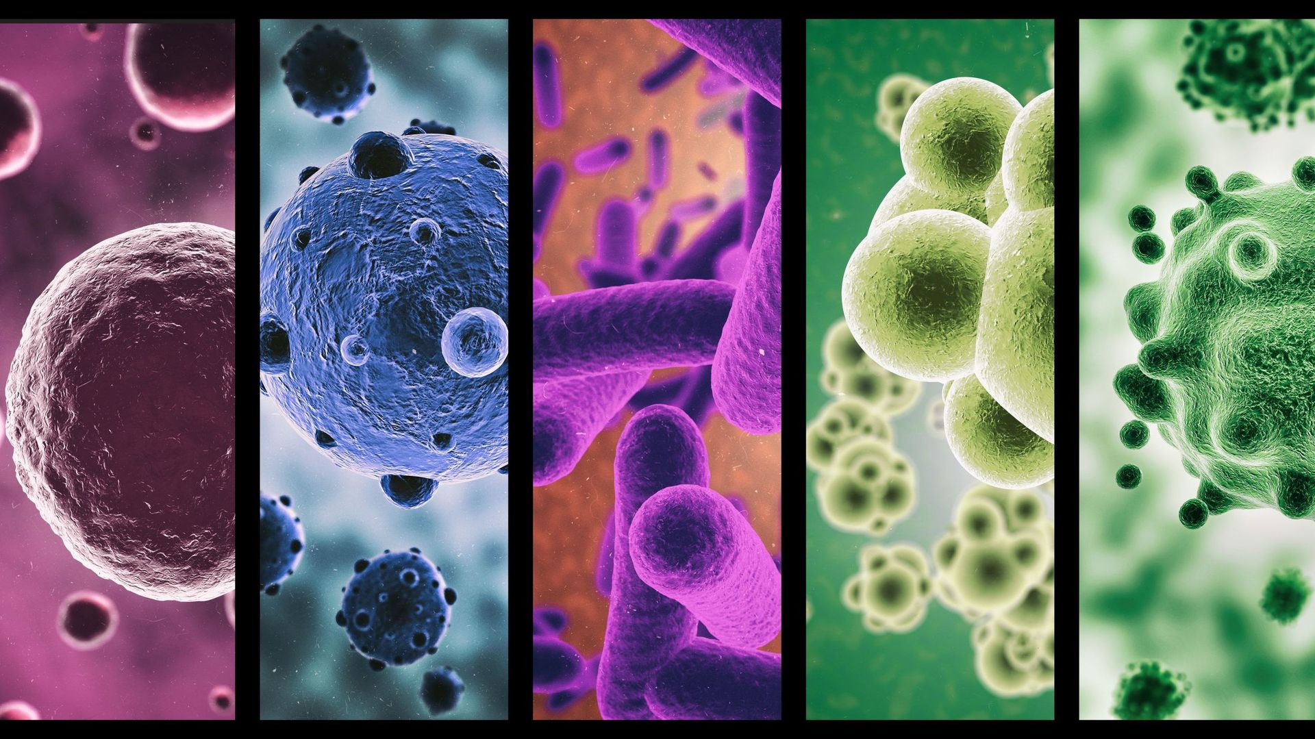 microbes