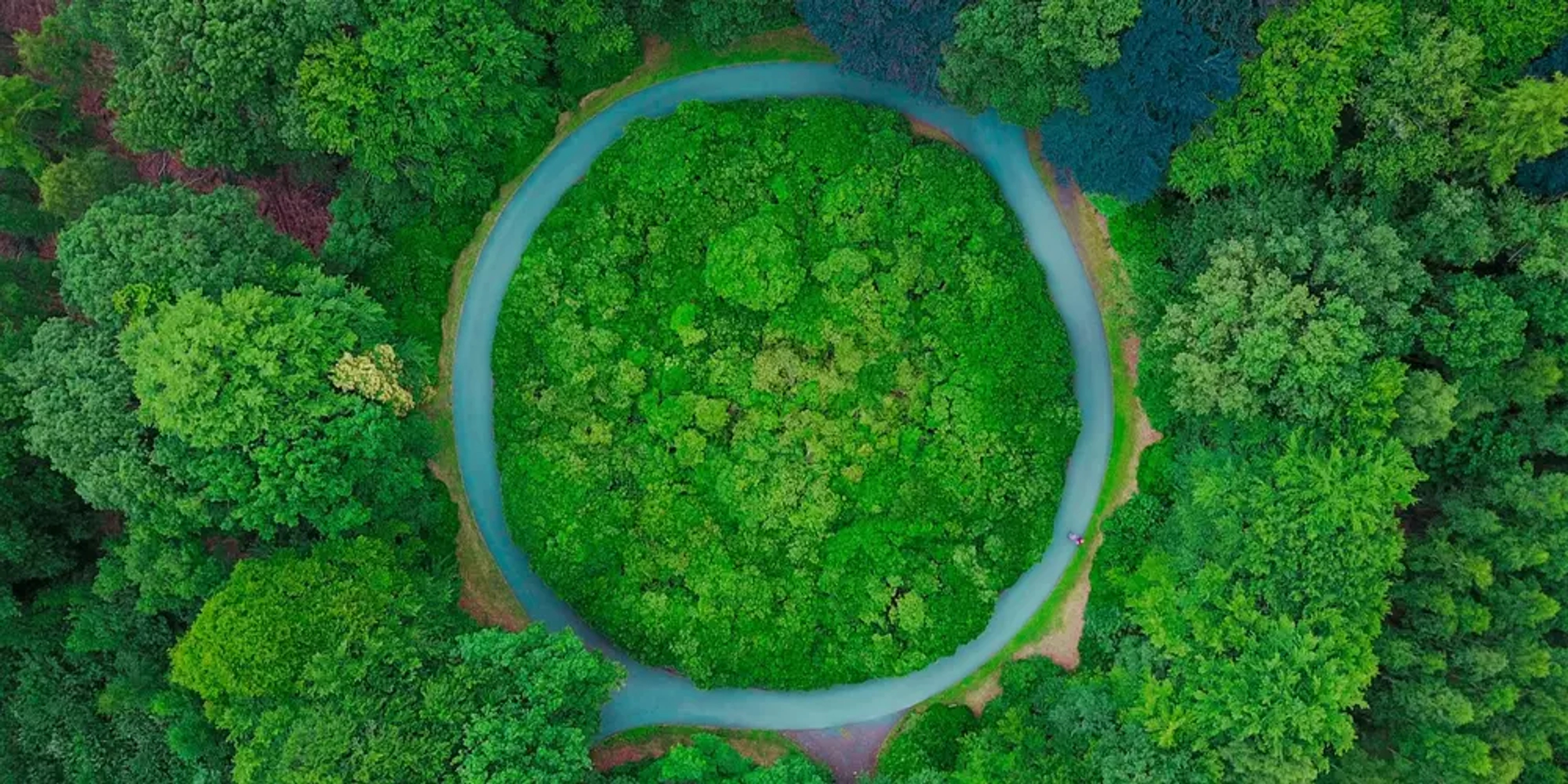tree circularity bioprocess engineering