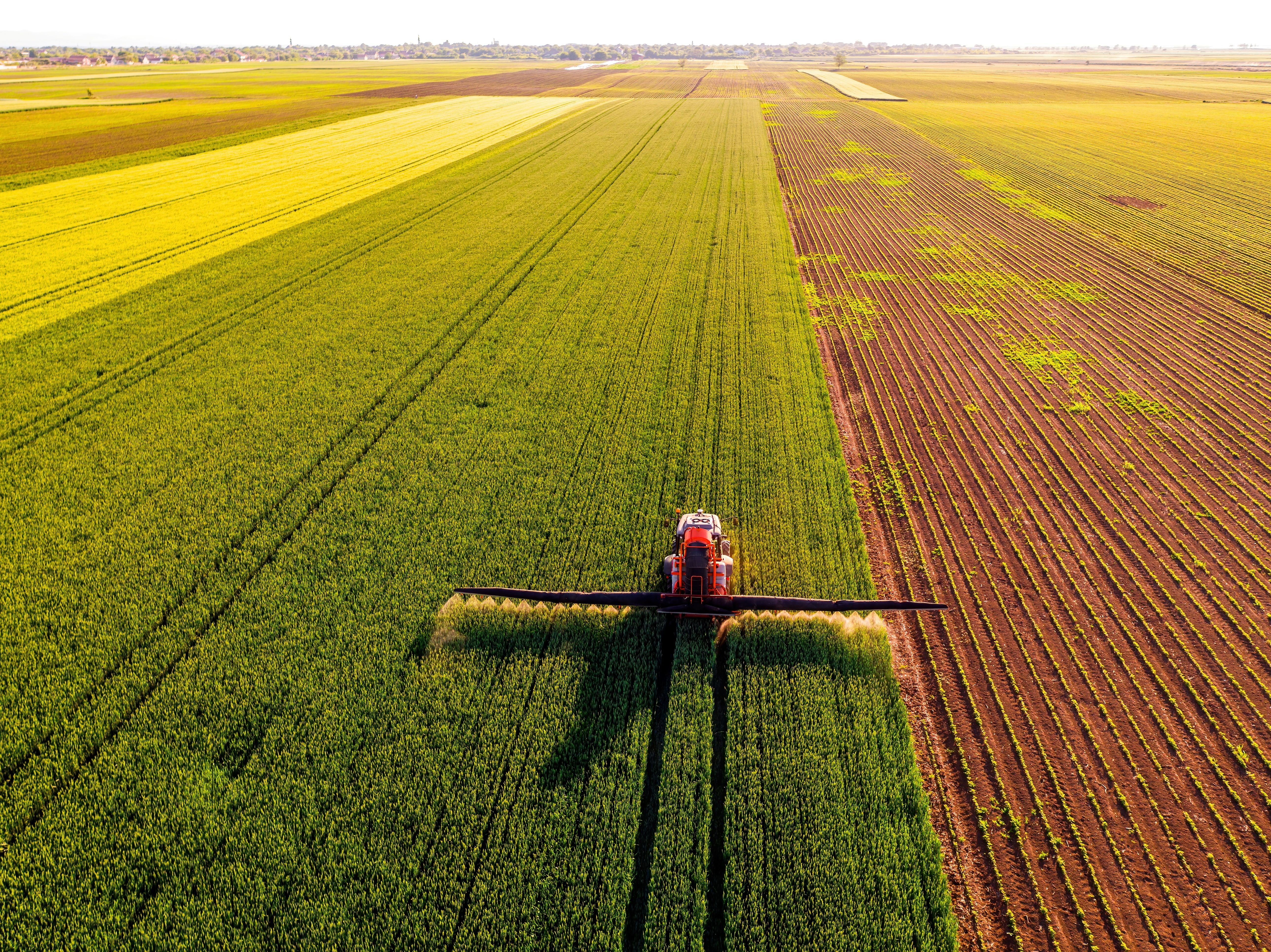 Development and assessment of spectroscopic techniques and advanced analysis methods for characterization of bio-based fertilizers