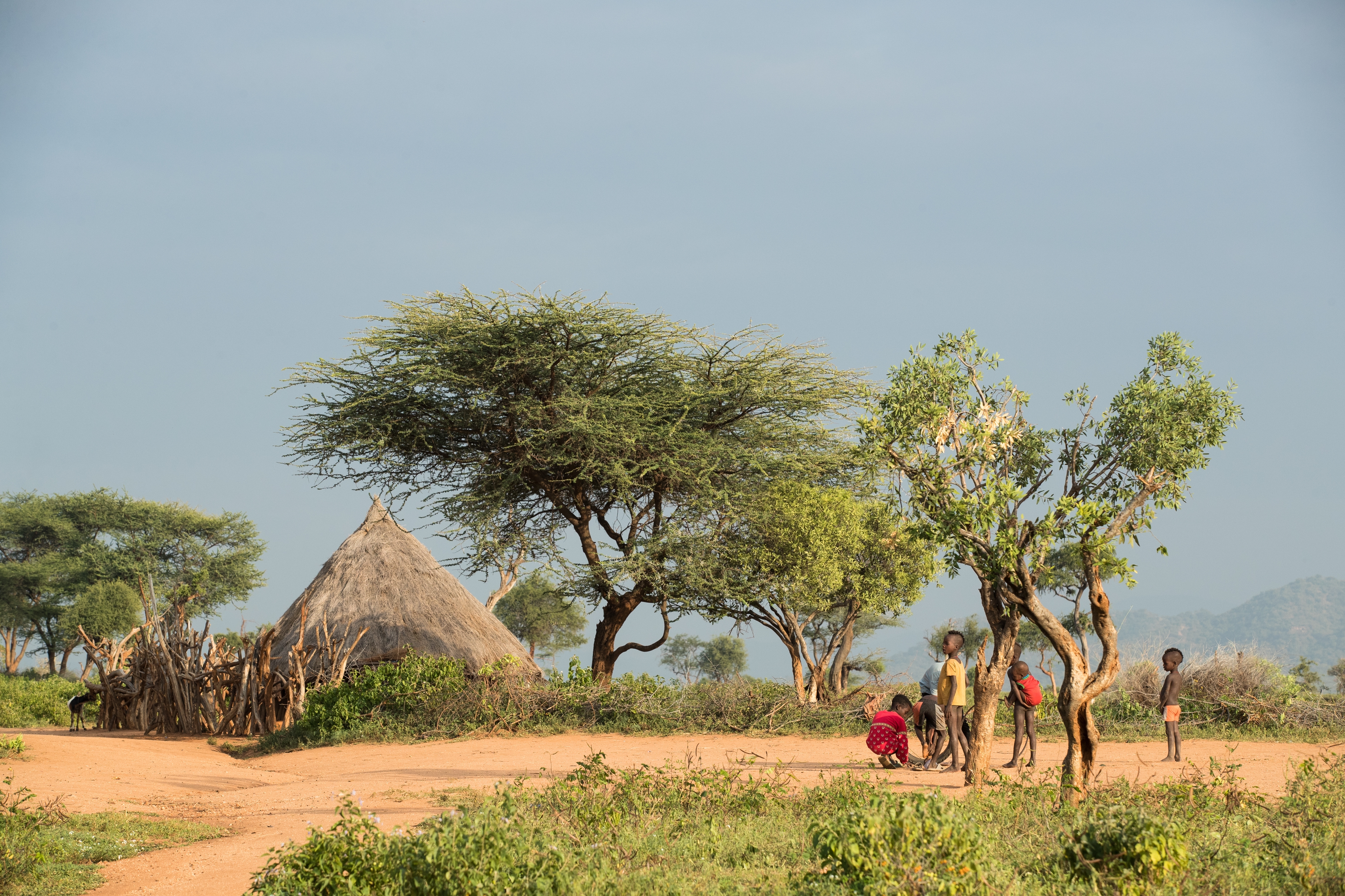 From Diverse Farming Systems to Diverse Diets: A Path to Improving Children’s Diets in Rural Ethiopia  