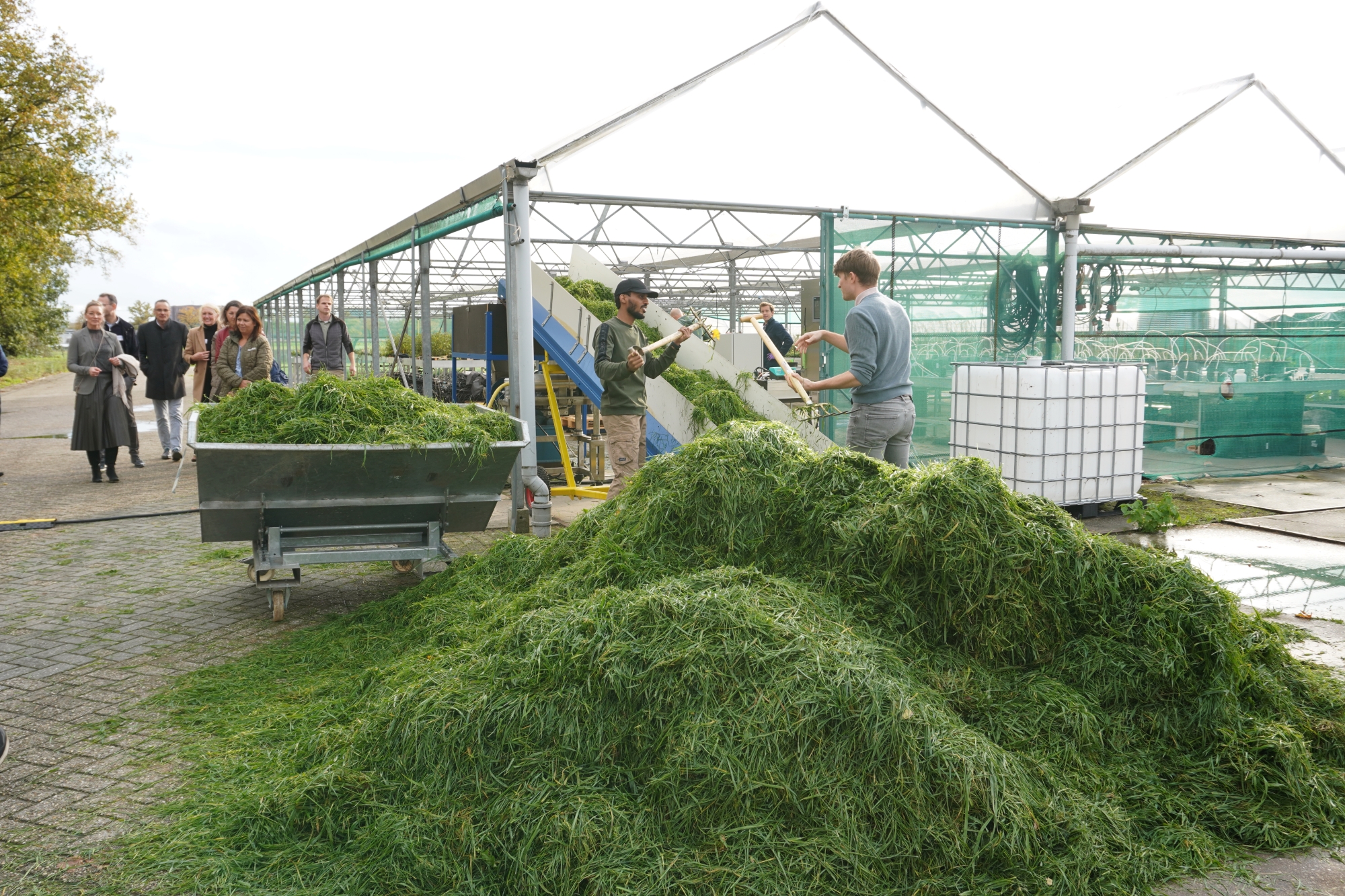 Grassa produceert eiwit uit gras