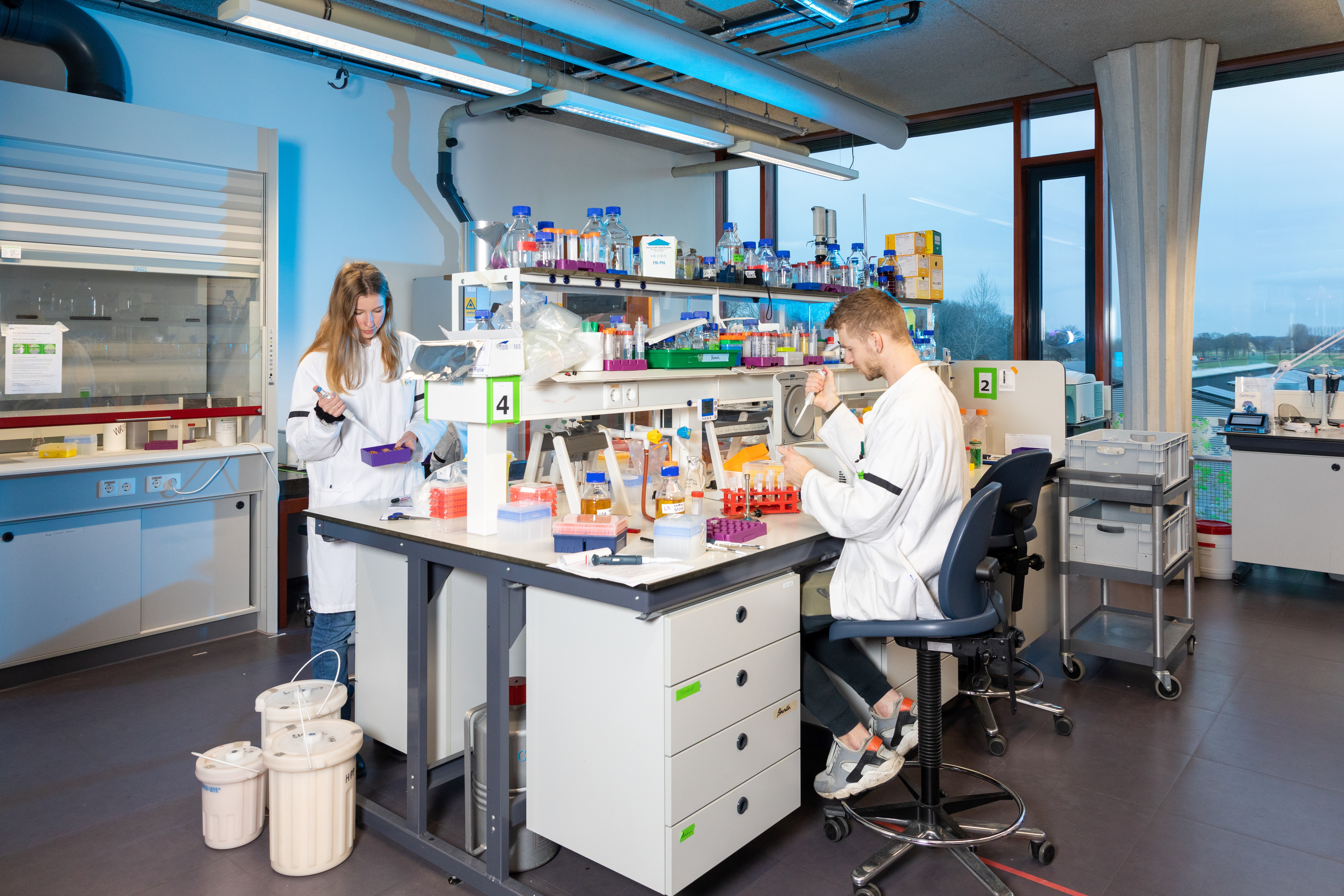 Colleagues are performing research on plants in the molecular lab
