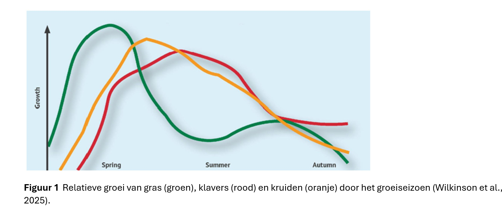 Groei van gras klavers kruiden