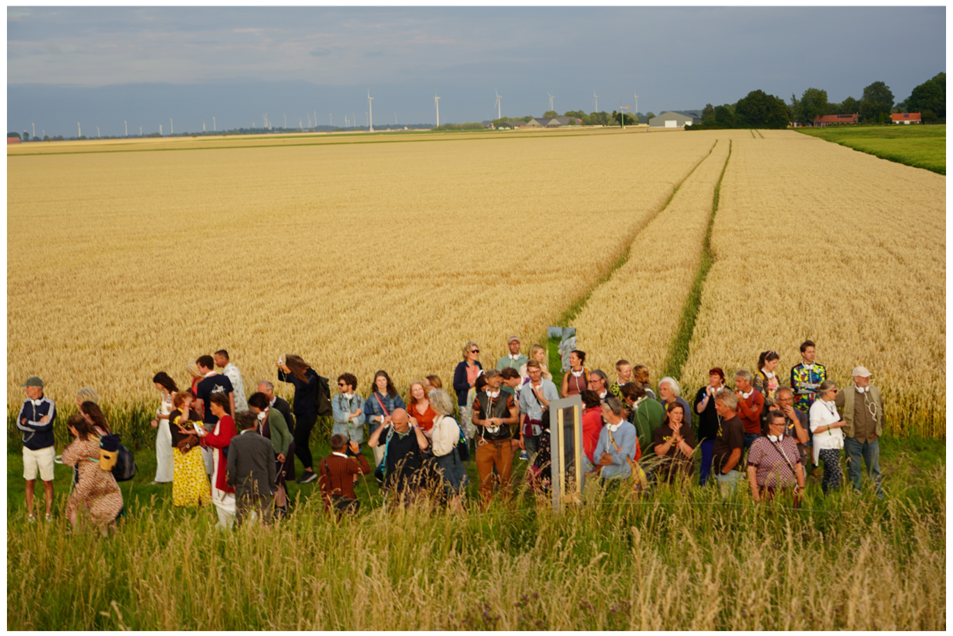 People in field