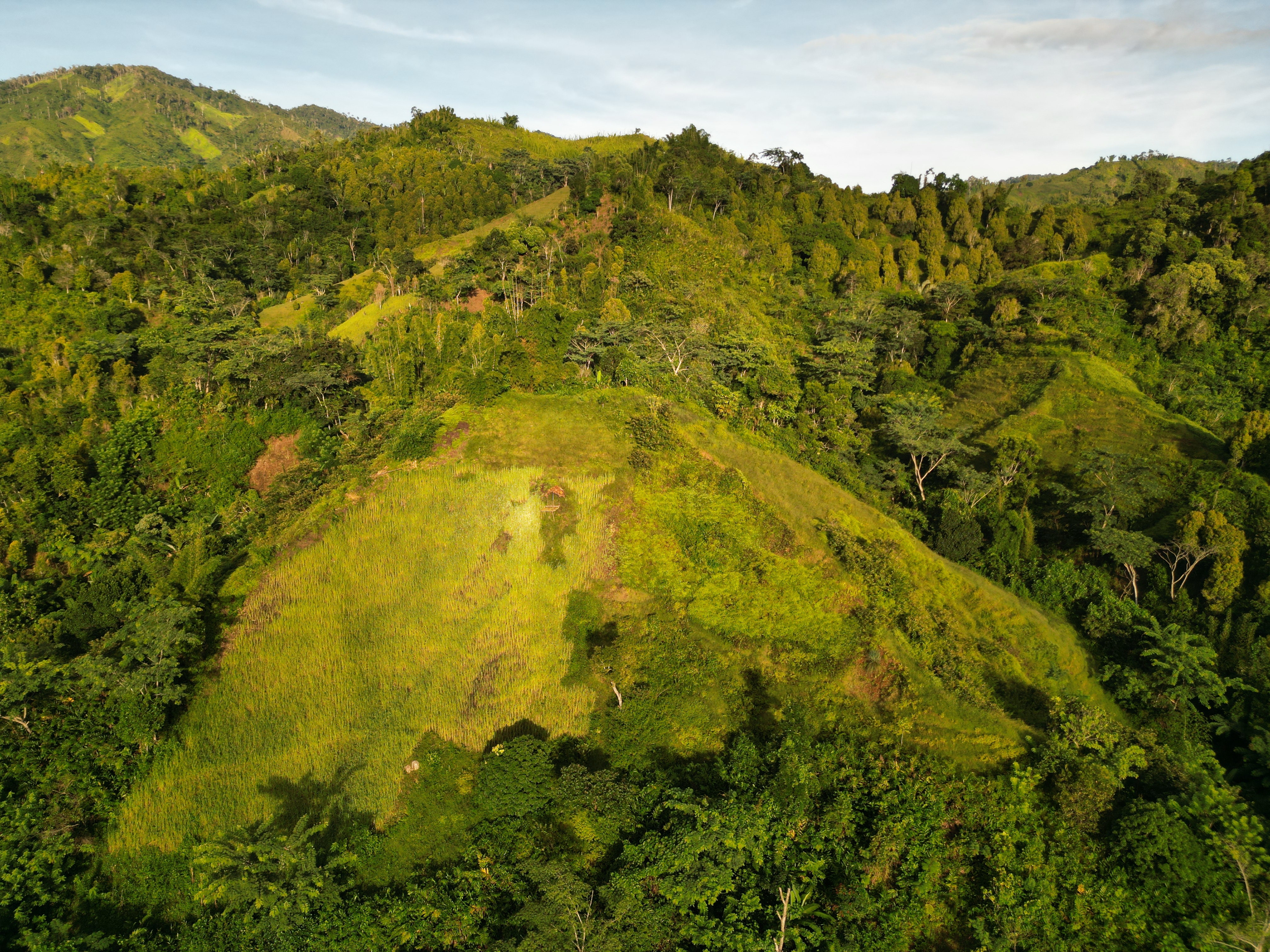 Drone view on the shifting cultivation landscape at the forest edge in north-eastern Madagascar