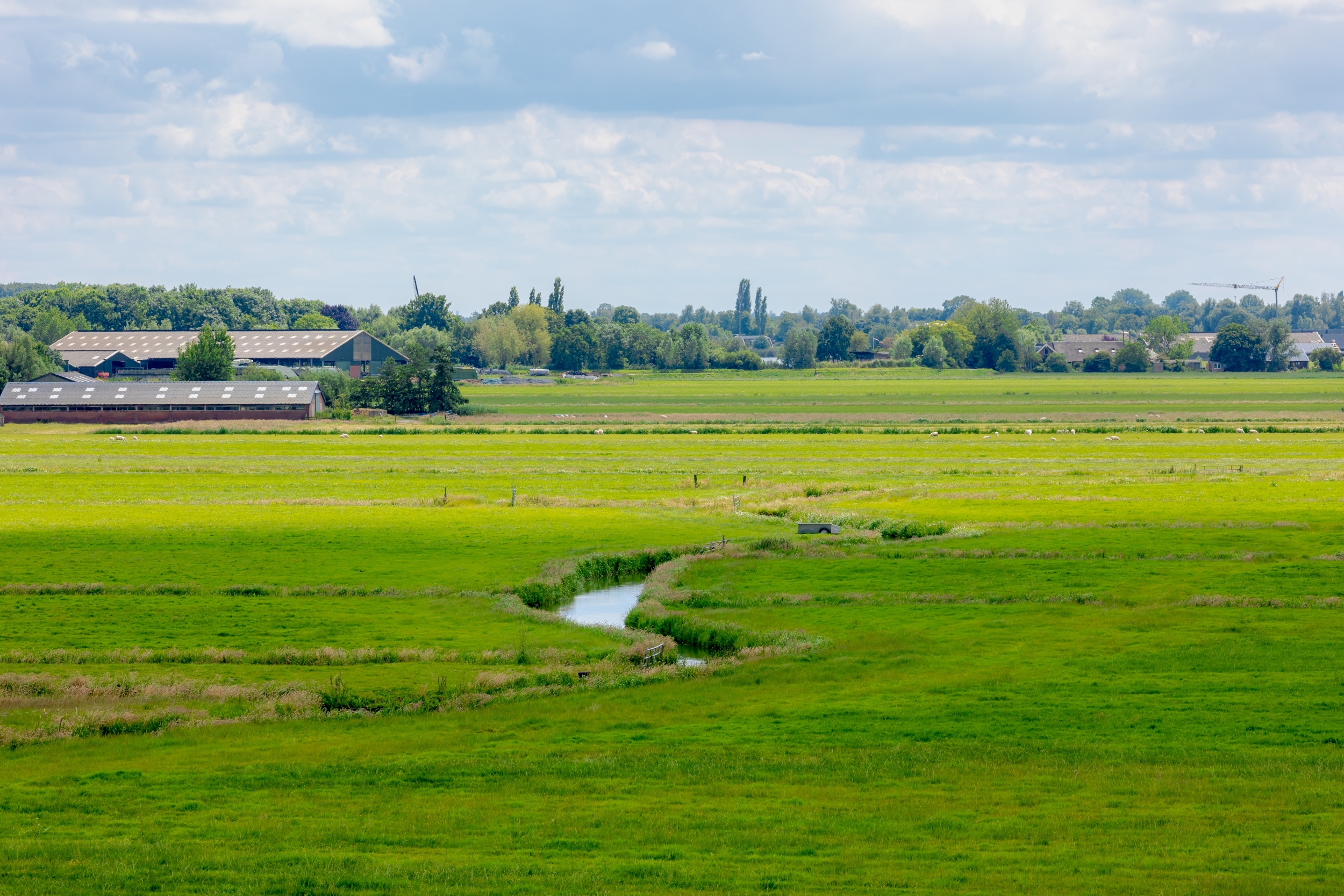 Herstel van biodiversiteit en ecosysteemdiensten op beheerde graslanden