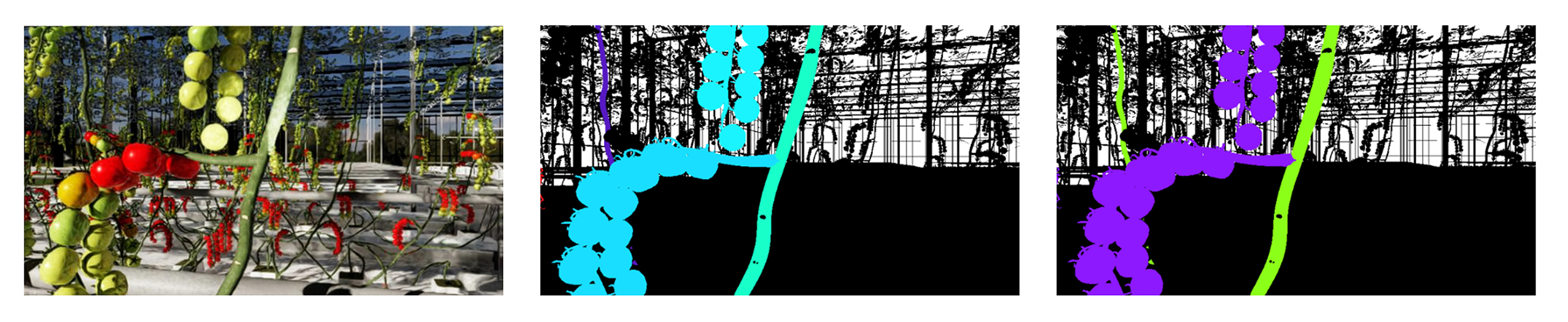 Visualisation of training the detection models