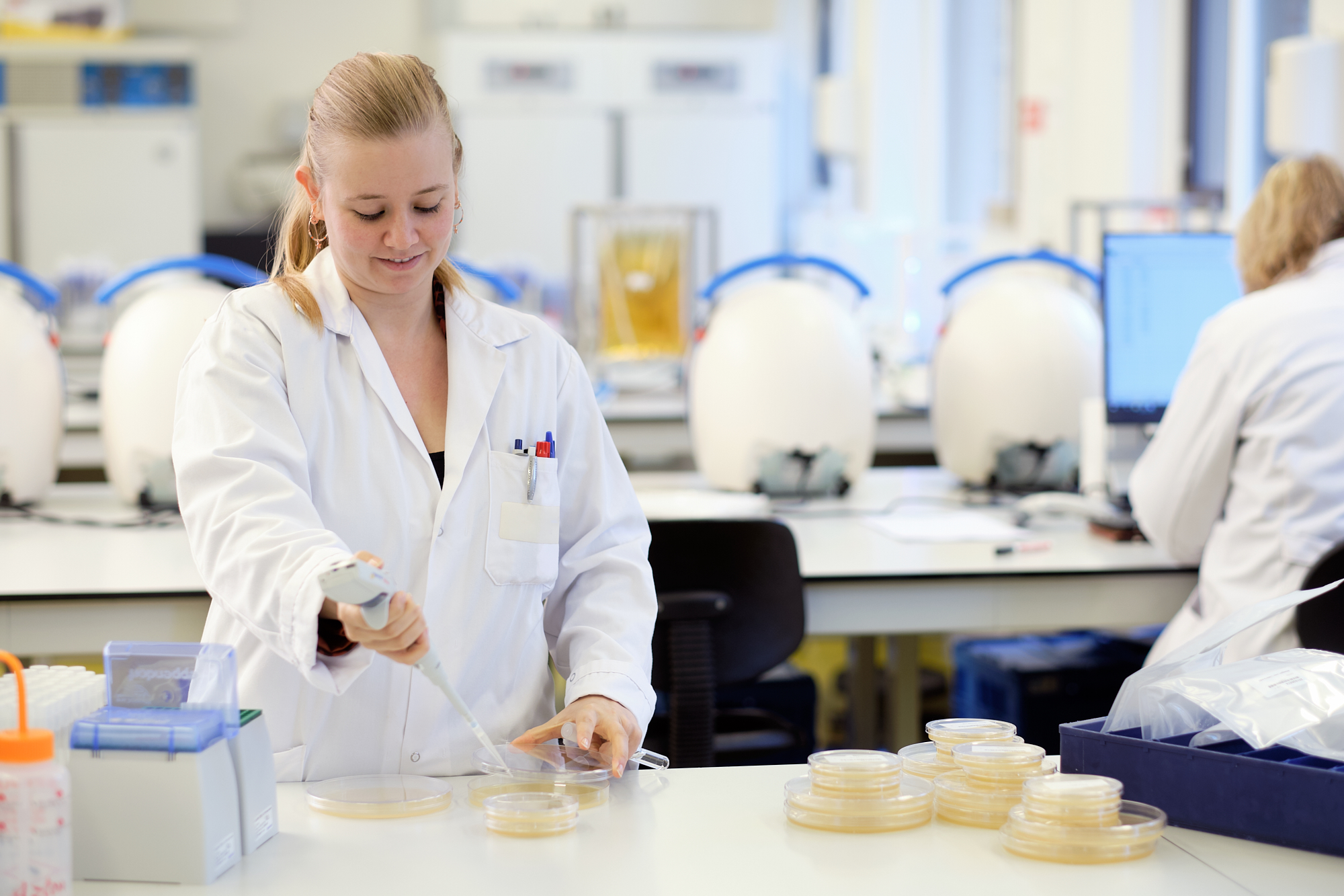 Afstuderen bij WFSR