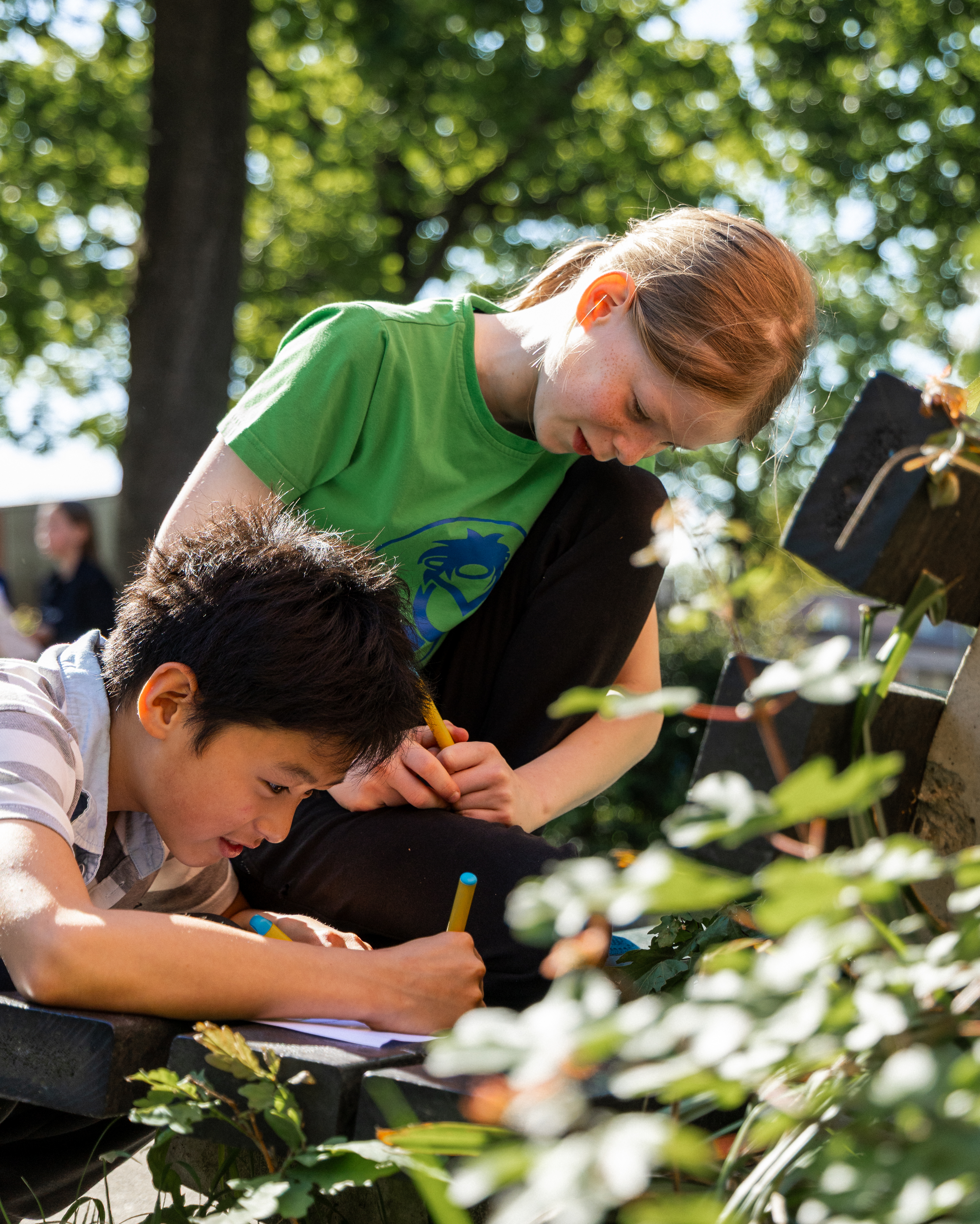 Alle Scholen Verzamelen