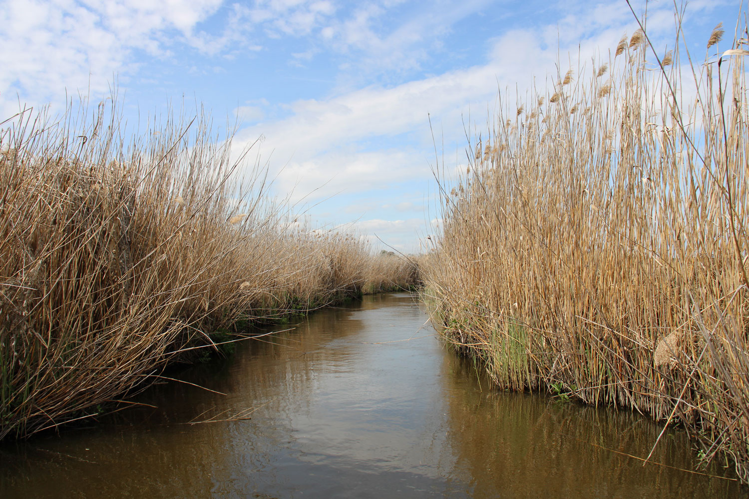 3.	foto van rivier in Oost-Polen die venige oevers heeft. Hier vindt actieve veengroei plaats, maar er is geen sprake van een meanderende beek.