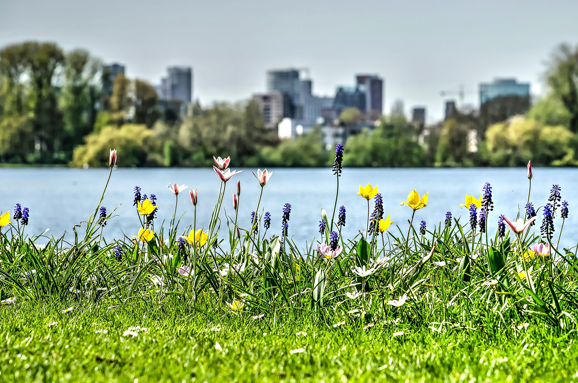 Healthy Public Spaces 