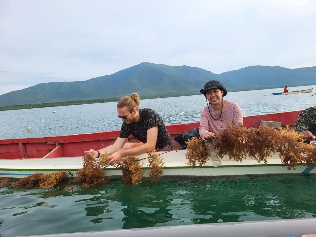 Researcher Reinier Nauta in a boat with two other people, who are pulling a rope with seaweed out of the water and examining it