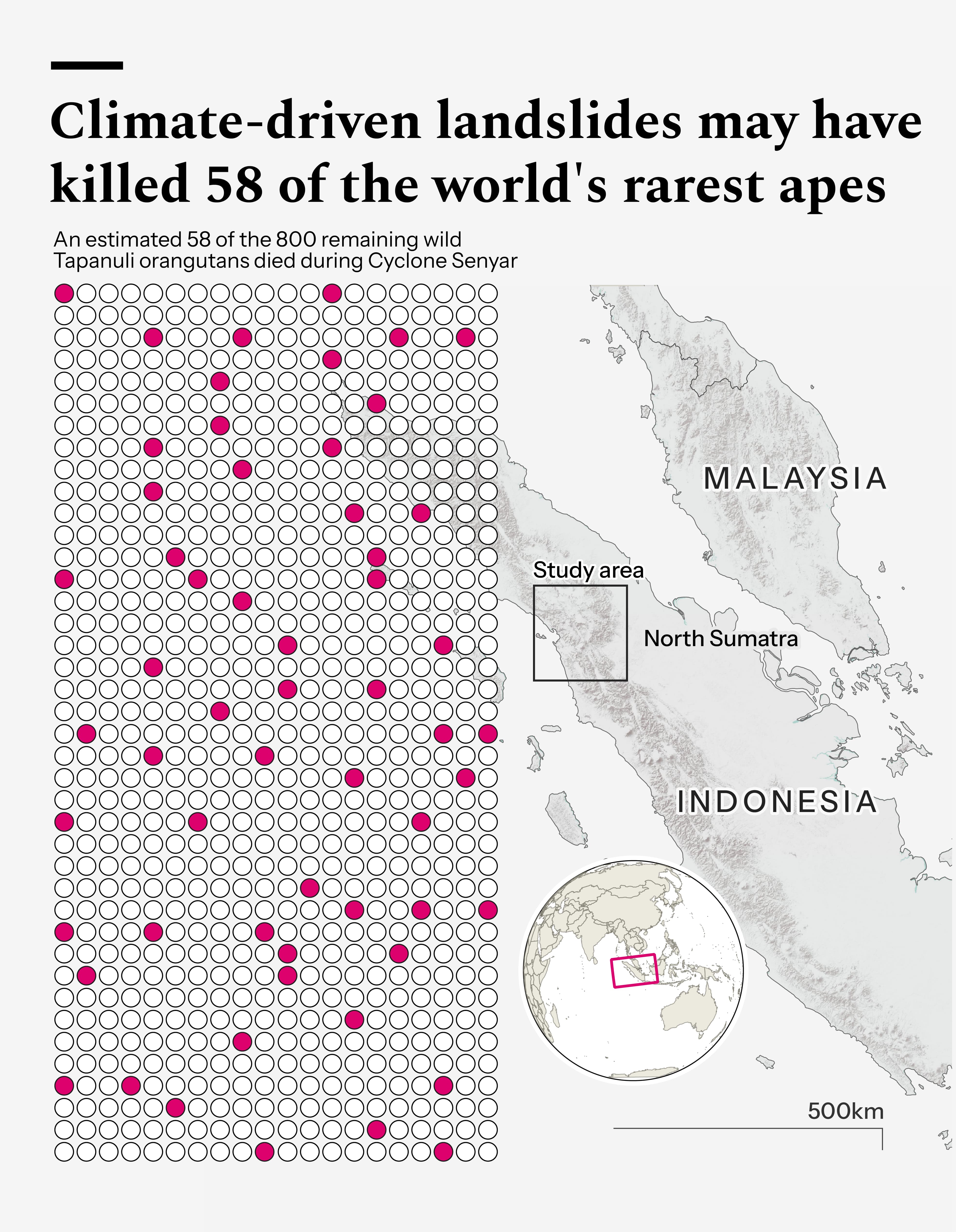 Infographic: Climate-driven landslides may have killed 58 of the world's rarest apes
